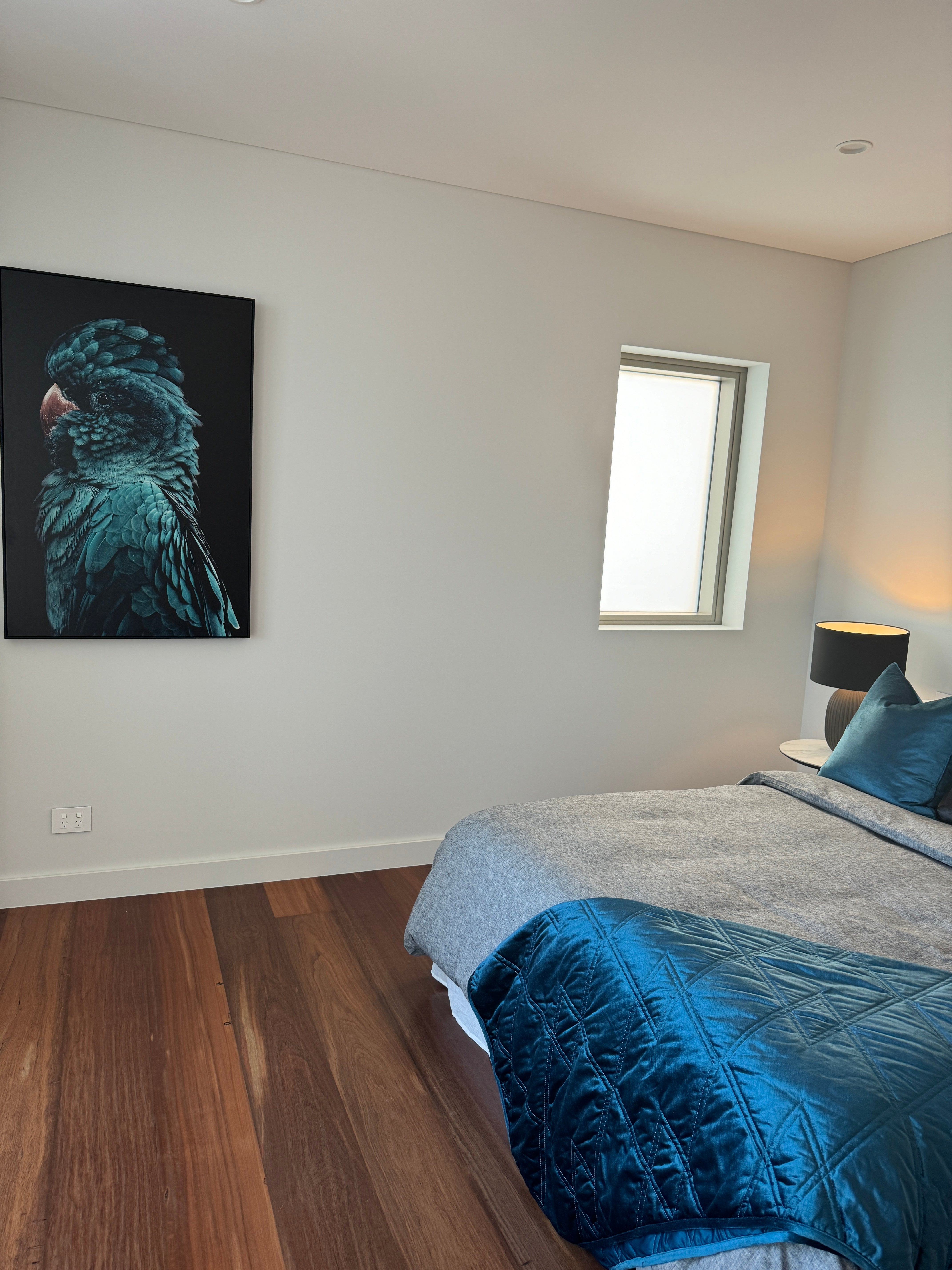 (HIRED) Framed Blue Teal Cockatoo Canvas