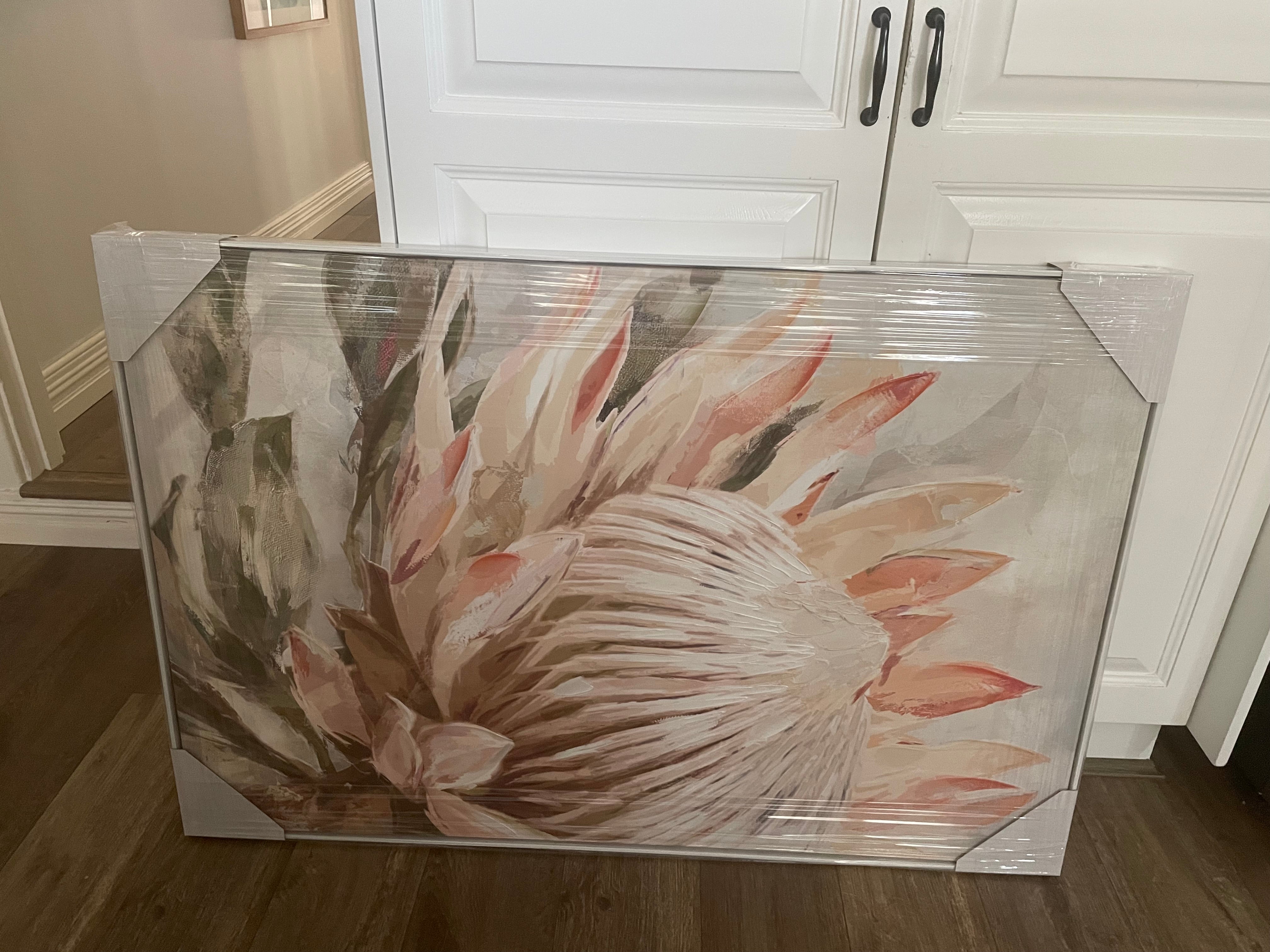 Framed Protea in Blush