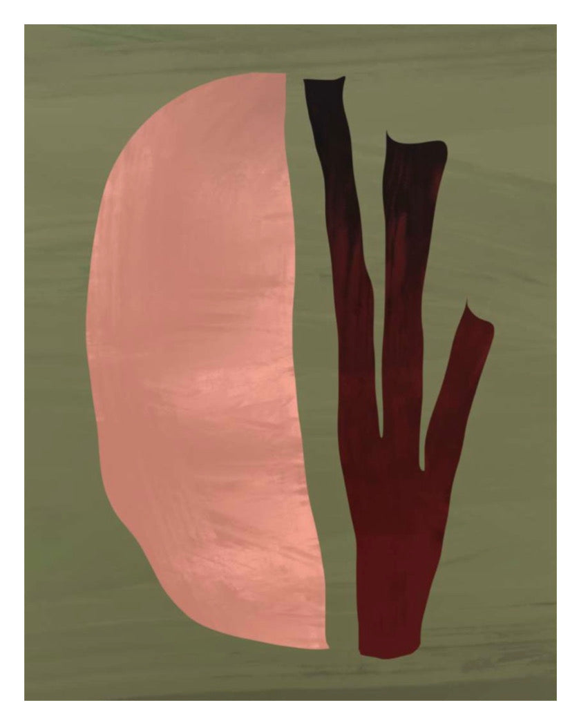 Framed - Organic Study