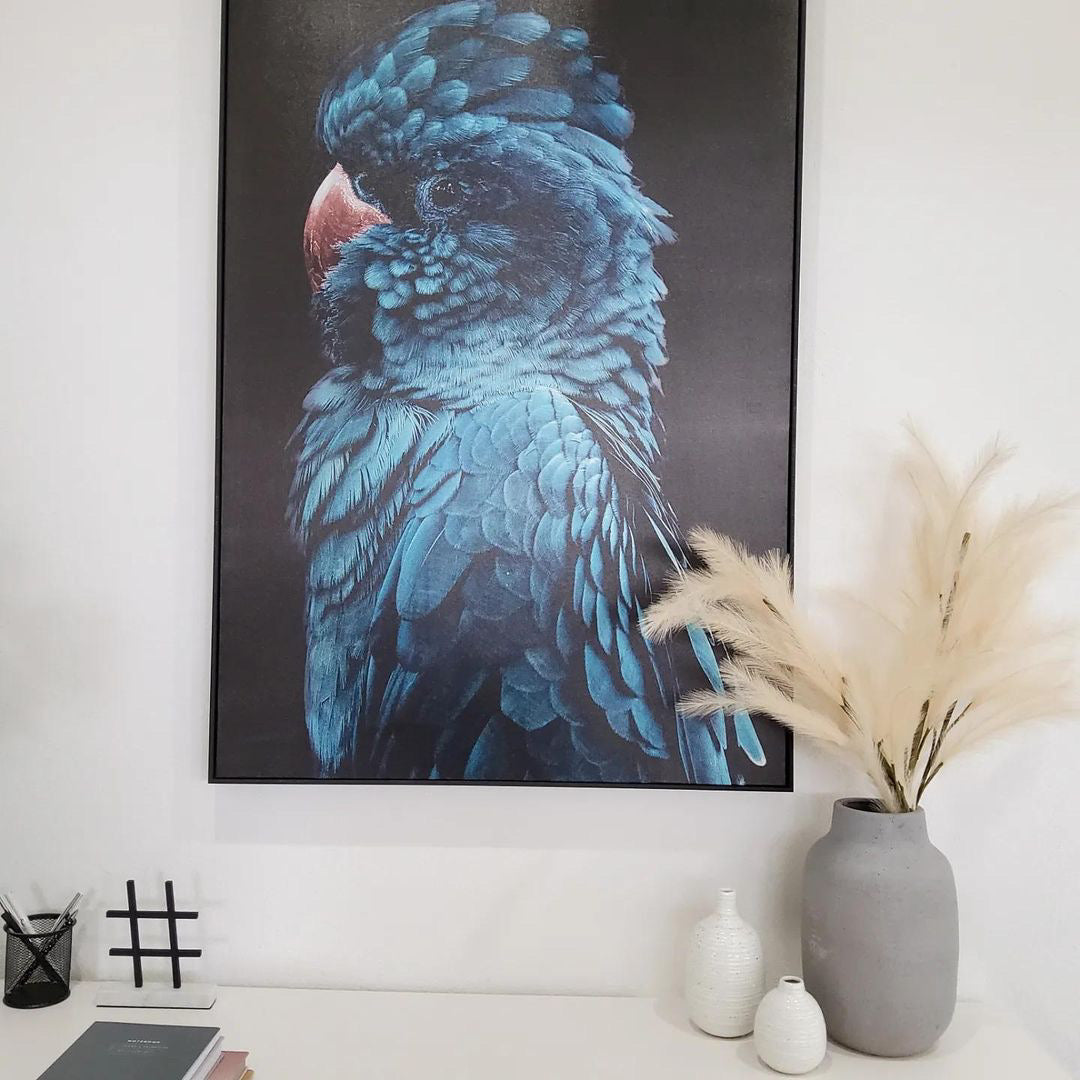(HIRED) Framed Blue Teal Cockatoo Canvas