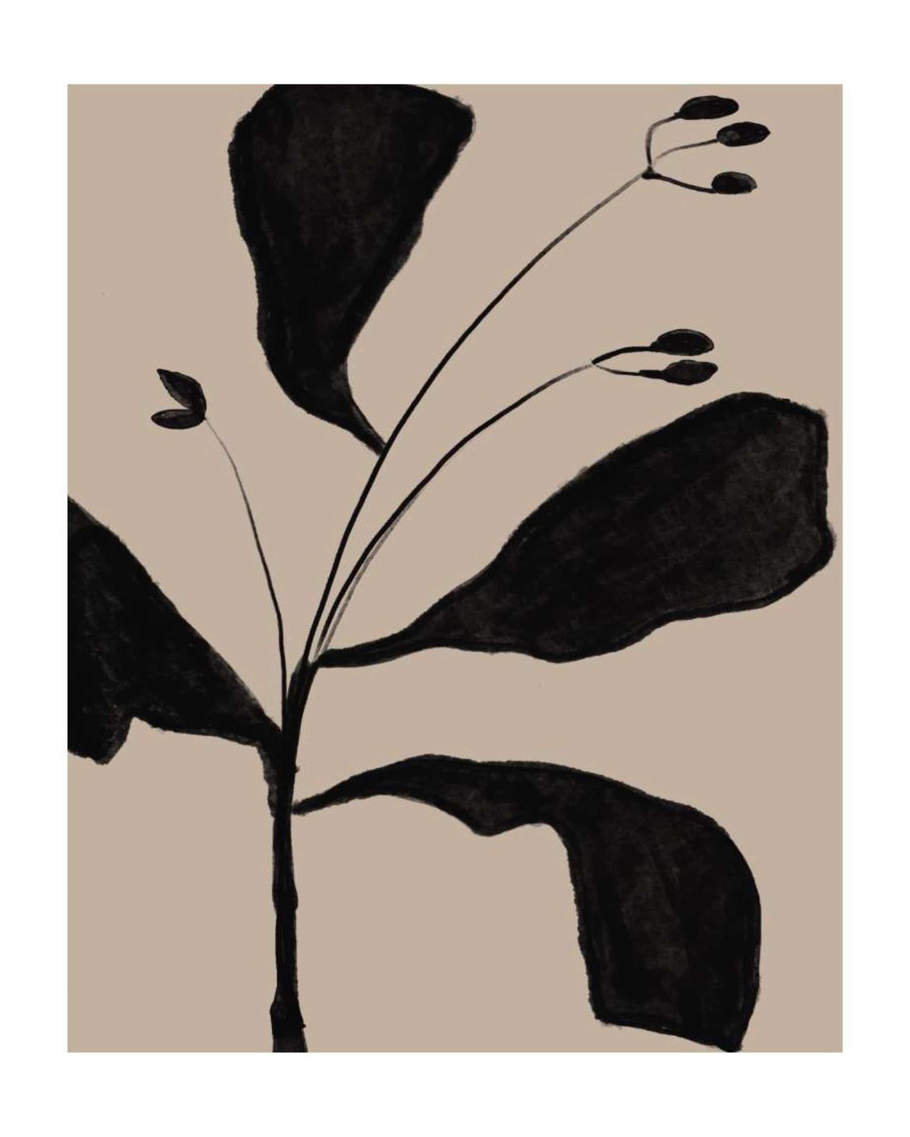 Framed - Botanical Whisper