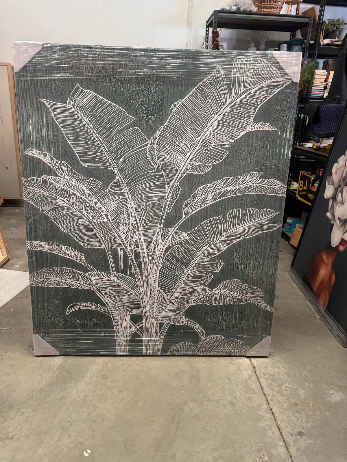 (HIRED) Palm Silhouette