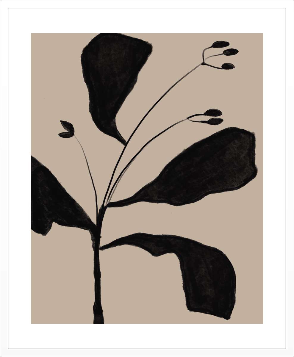 White Frame with White Border