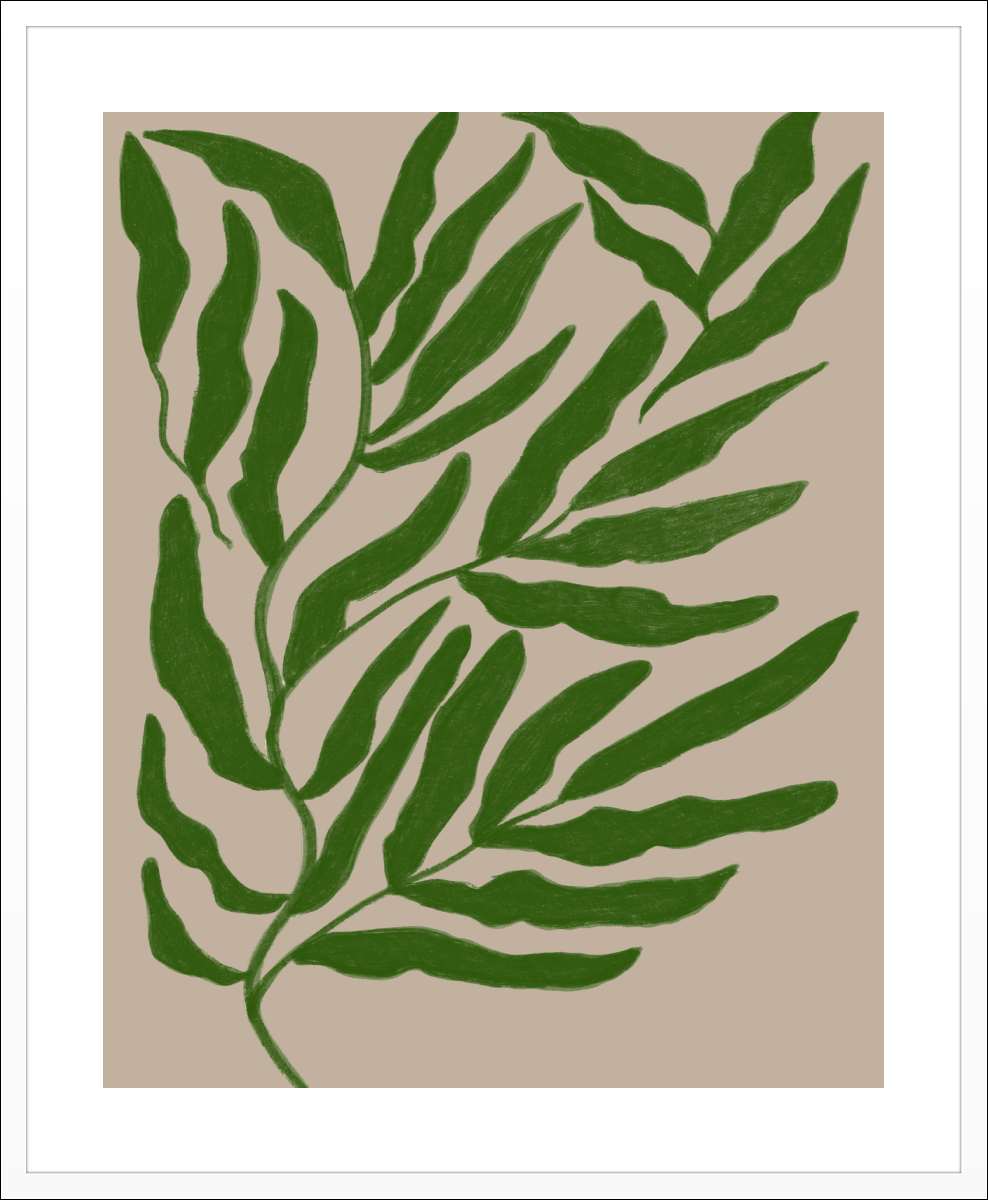 White Frame with White Border