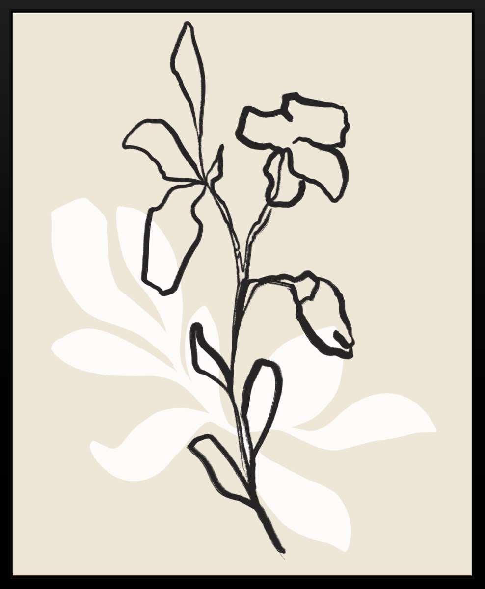 Black Box Frame