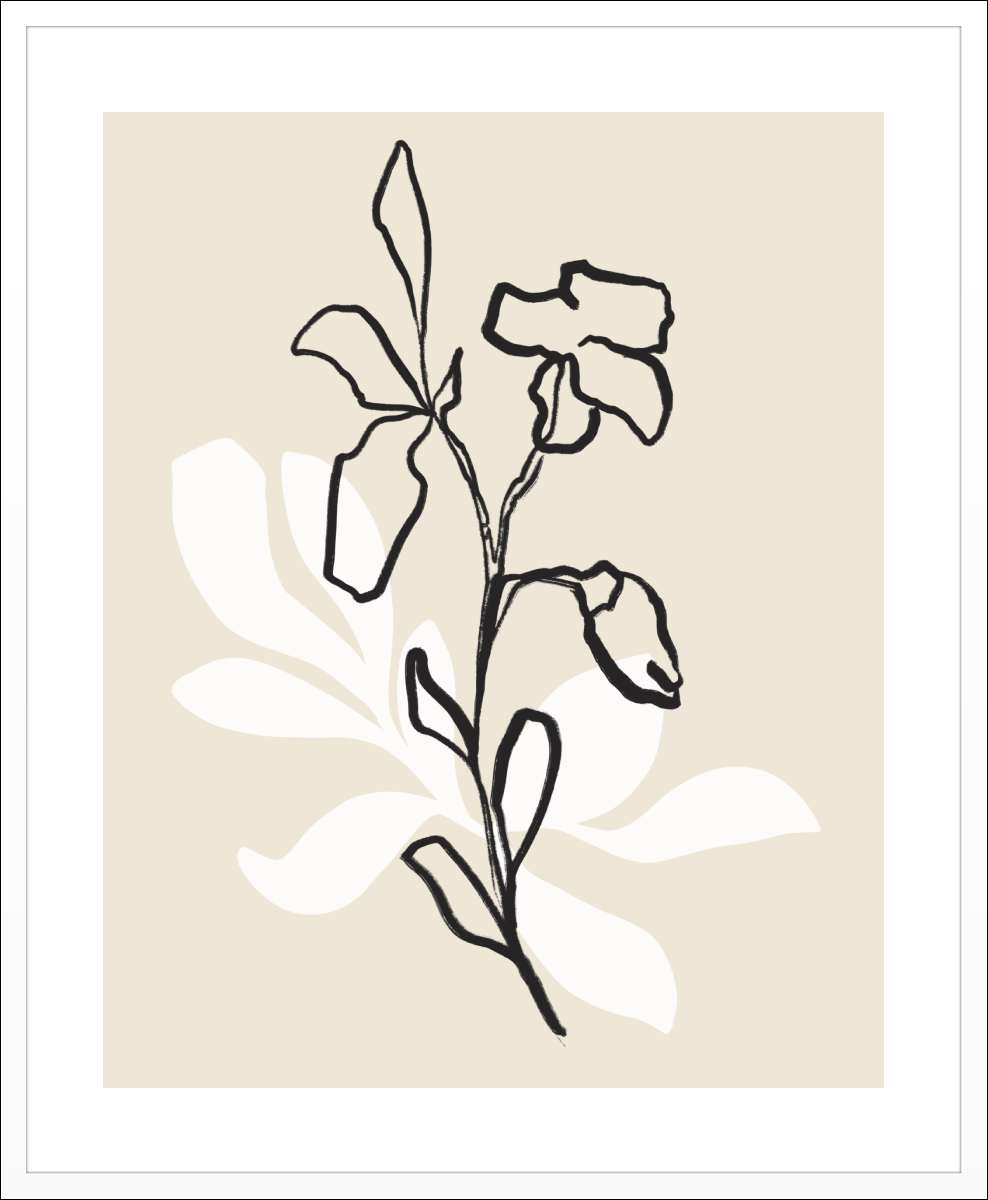 White Frame with White Border