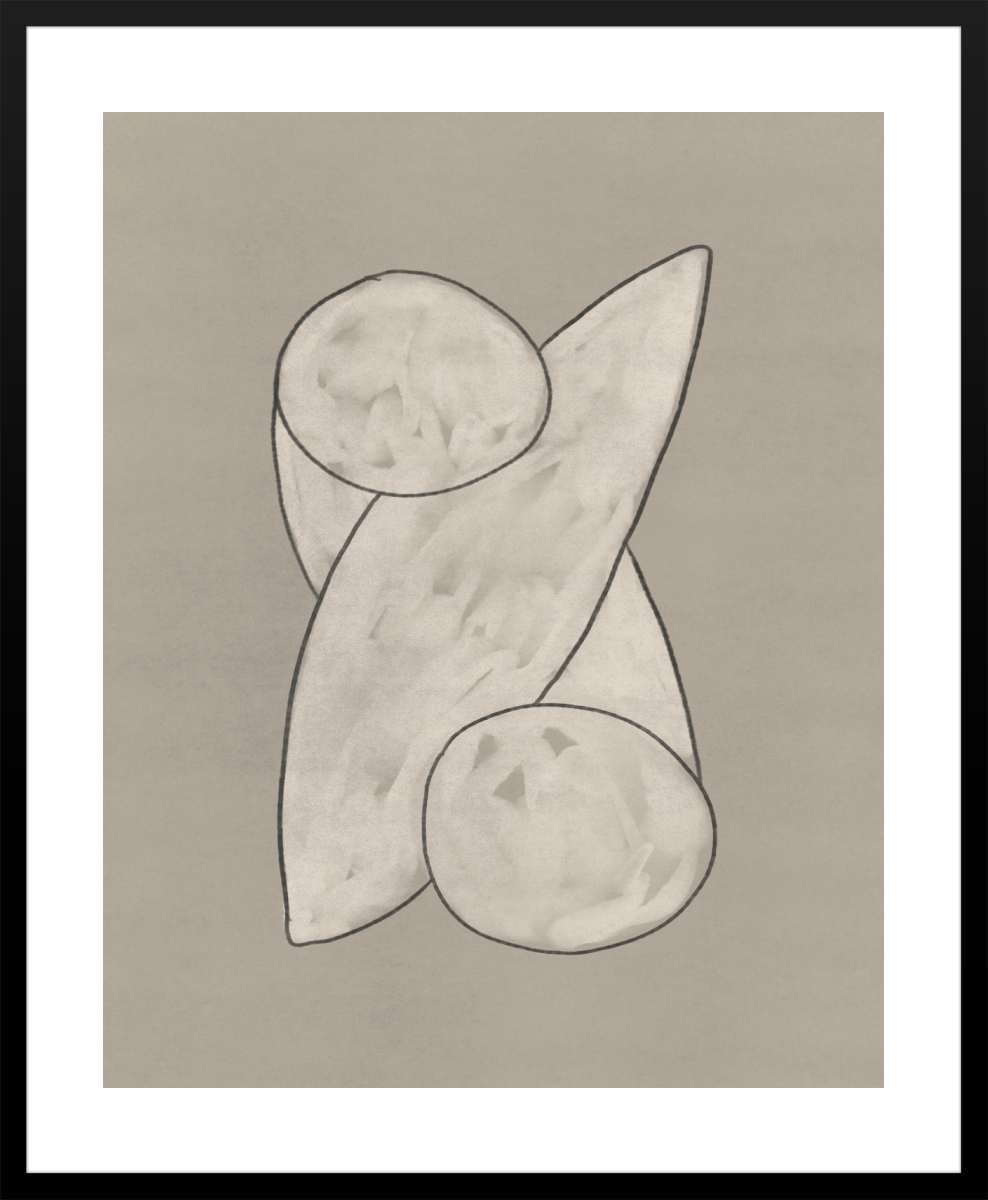 Black Frame with White Border