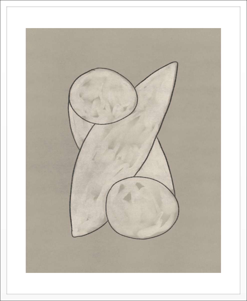 White Frame with White Border