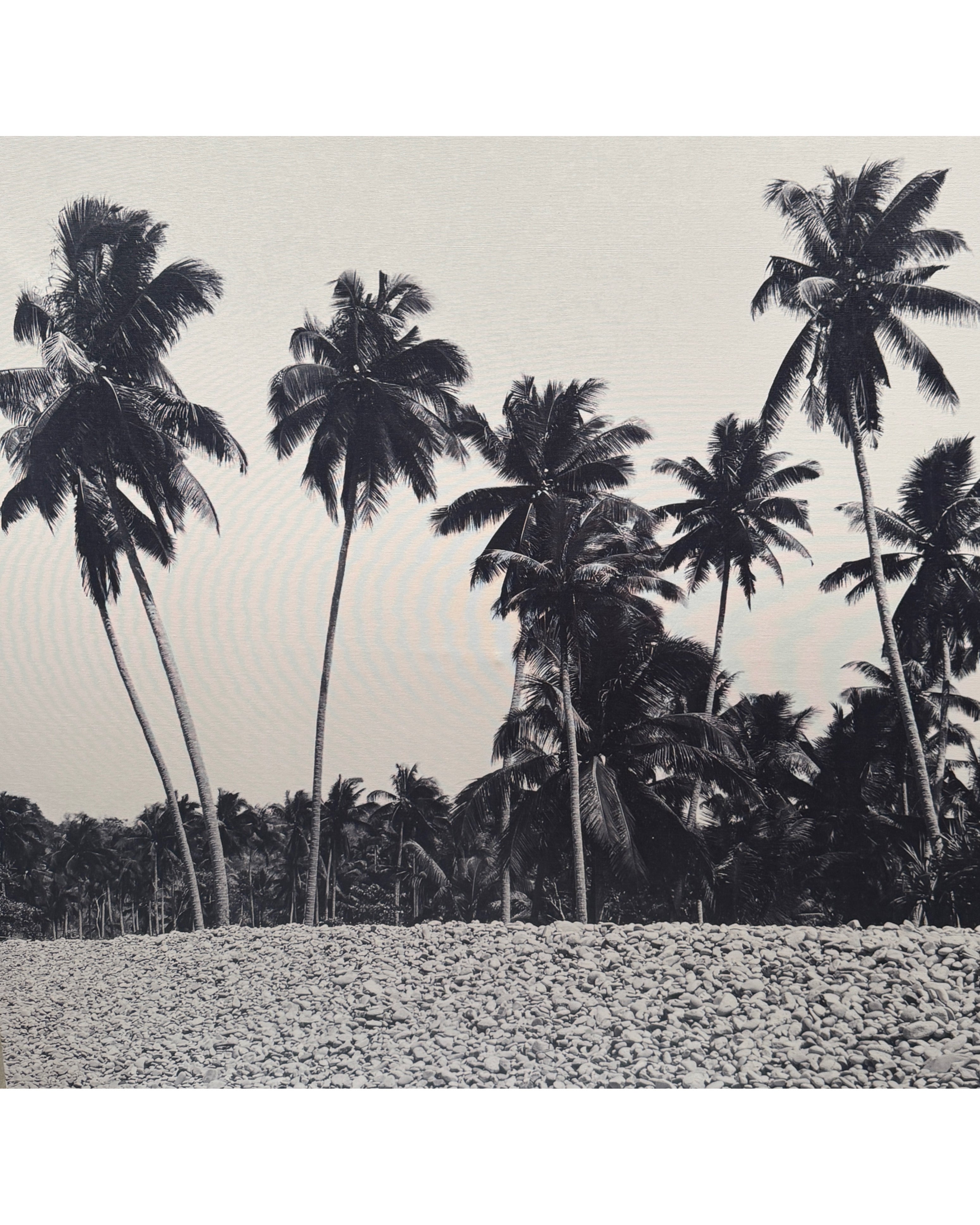 (HIRED) Island Horizon (X- LARGE)