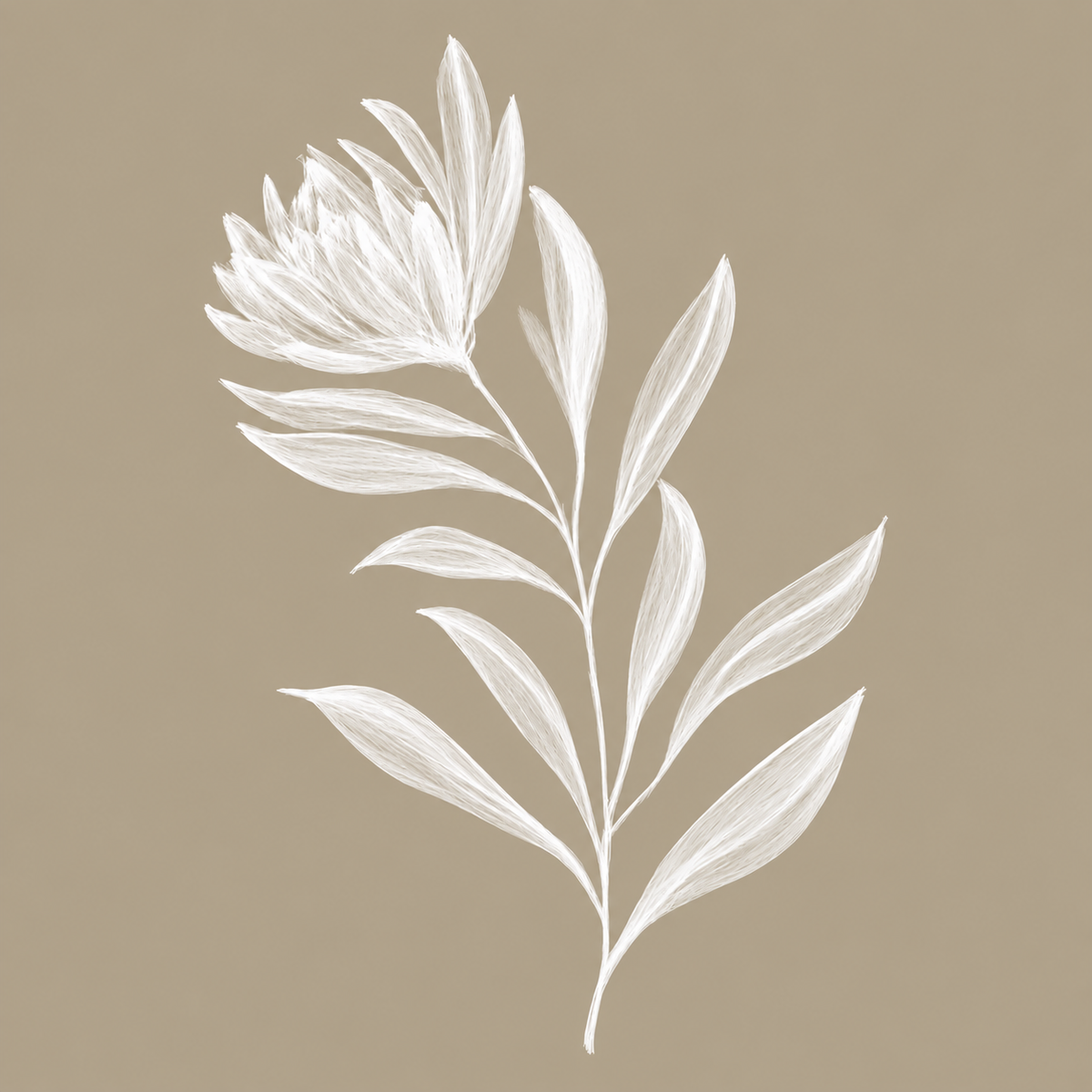 (HIRED) Protea Magic