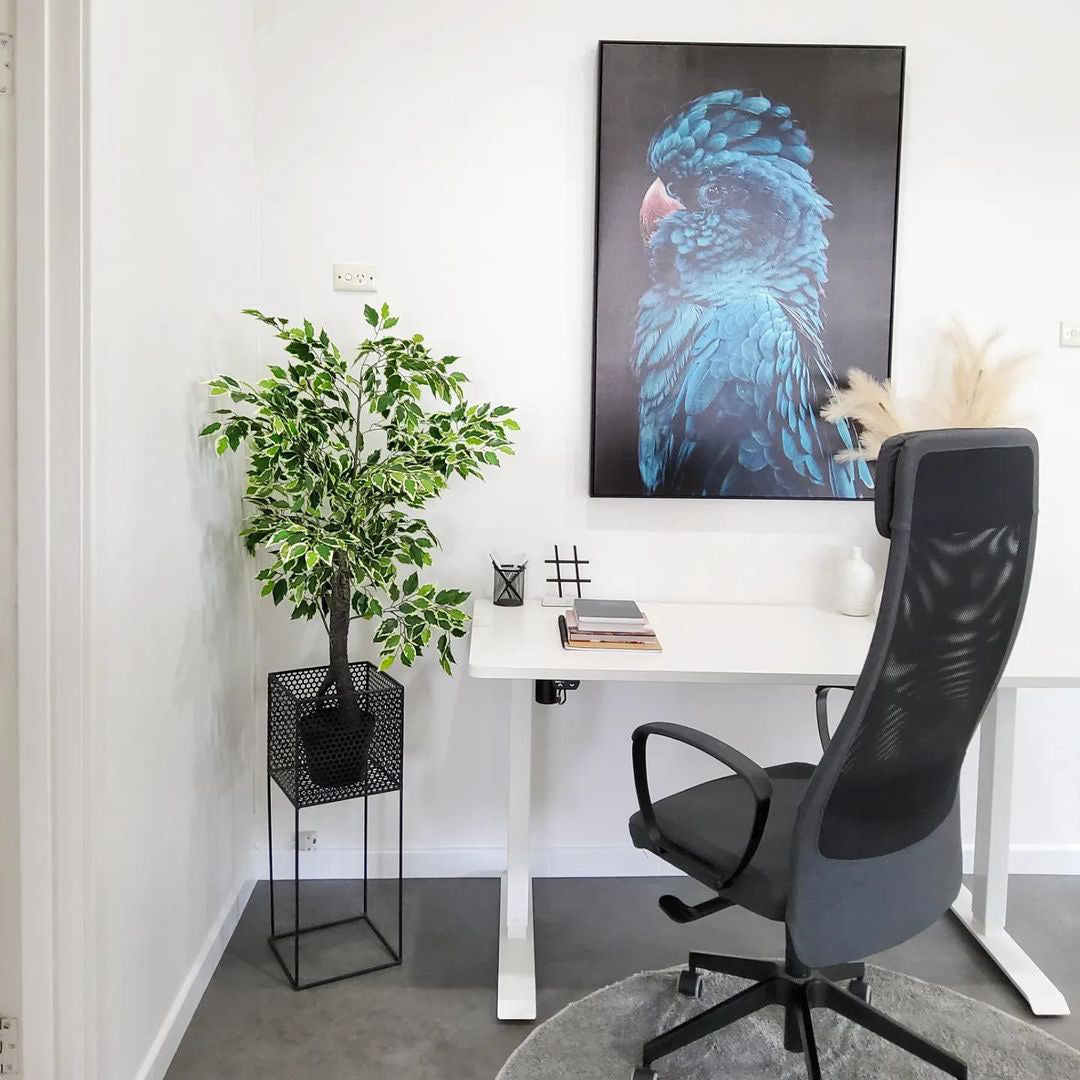 (HIRED) Framed Blue Teal Cockatoo Canvas