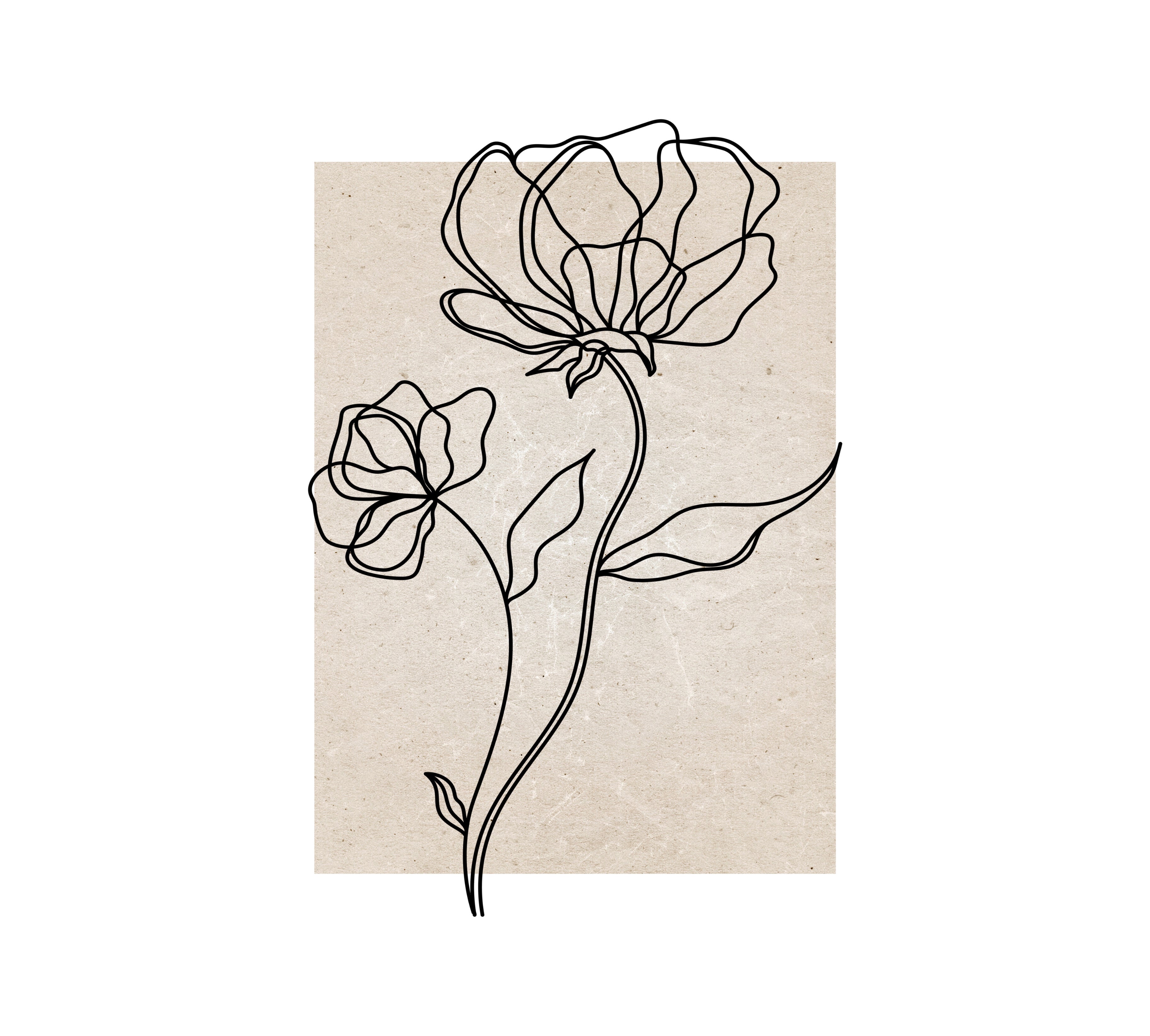 (HIRED) Framed - Botanical Flower Beige & Black - Print A
