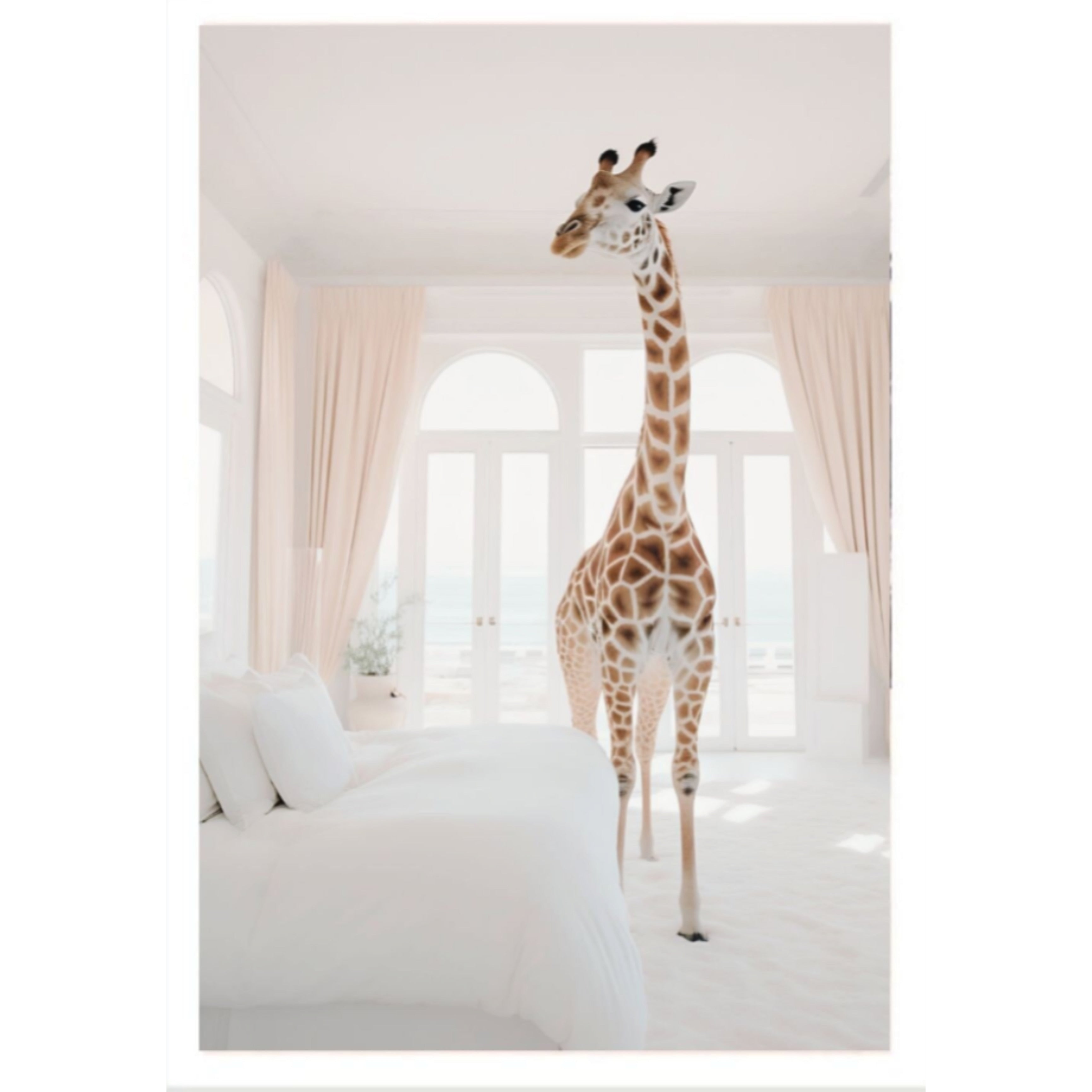 Framed - Giraffe