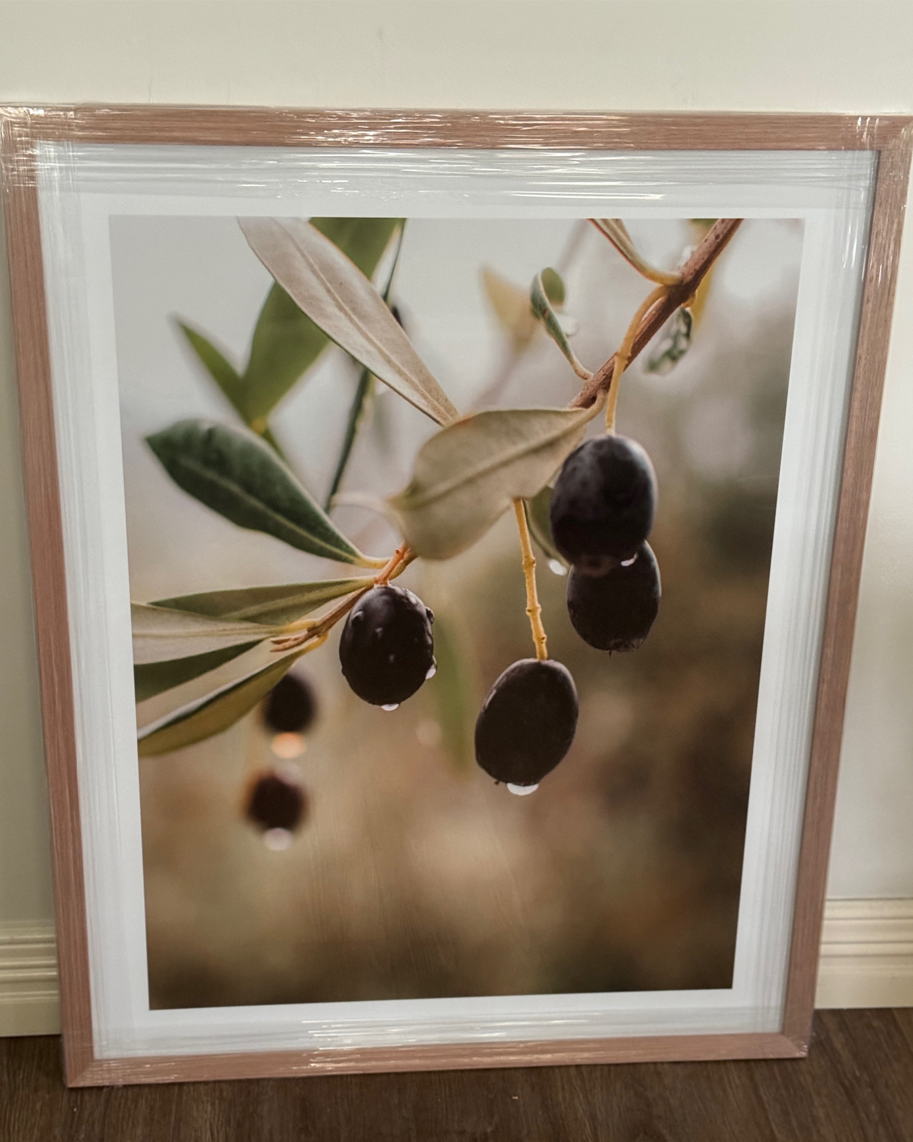 (HIRED) Framed - Olives