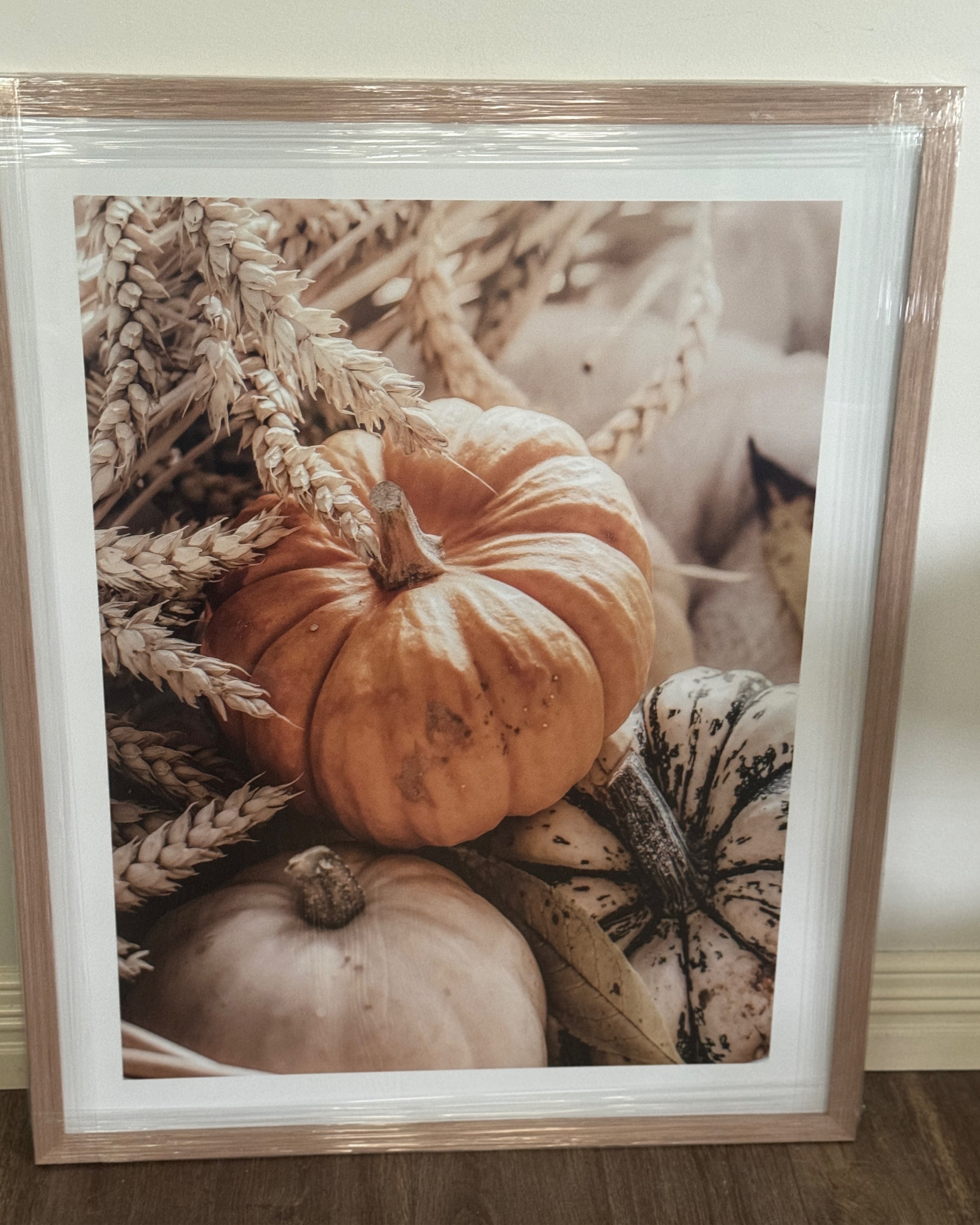 (HIRED) Framed - Pumpkins