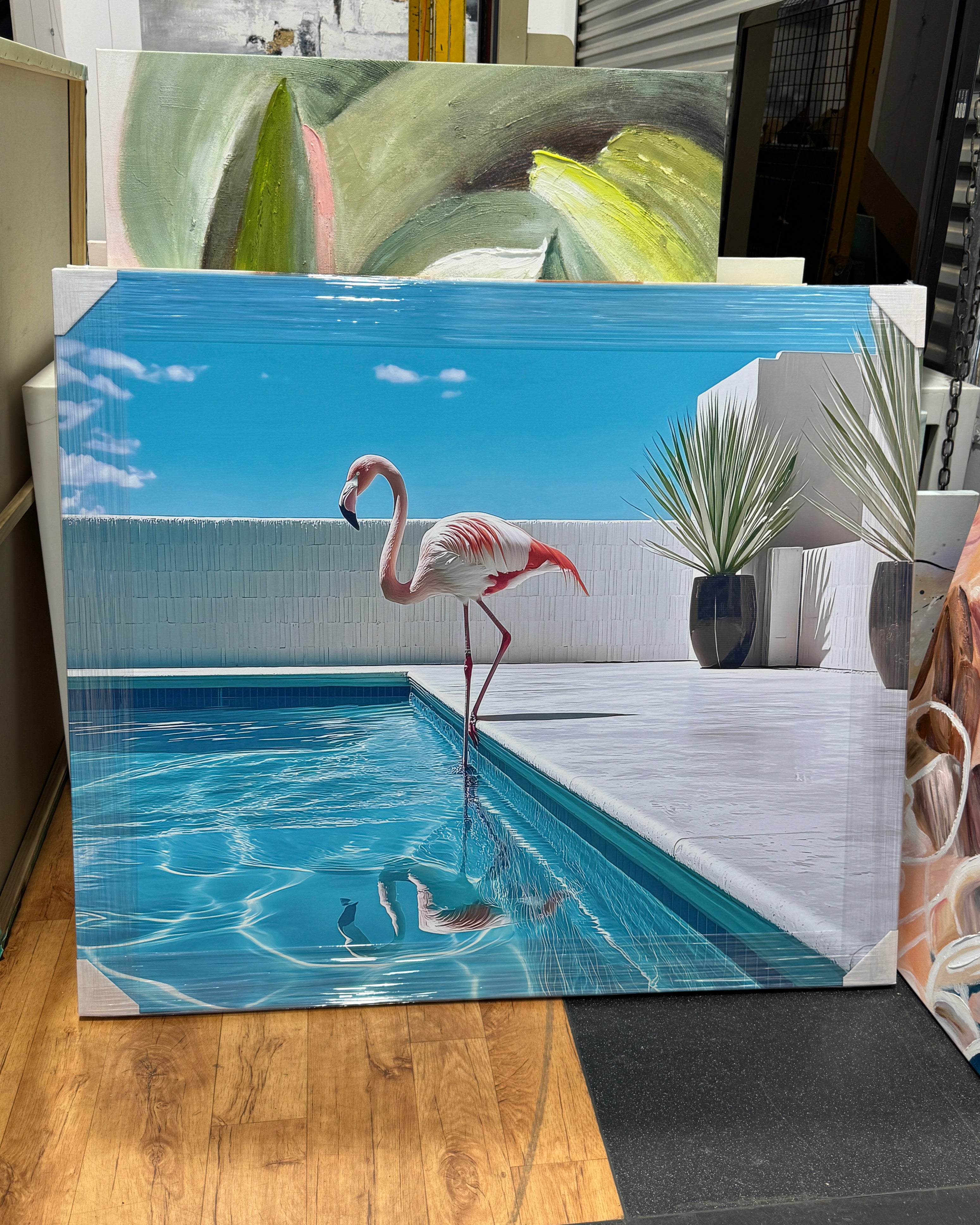 (HIRED) Flamingo by the Pool