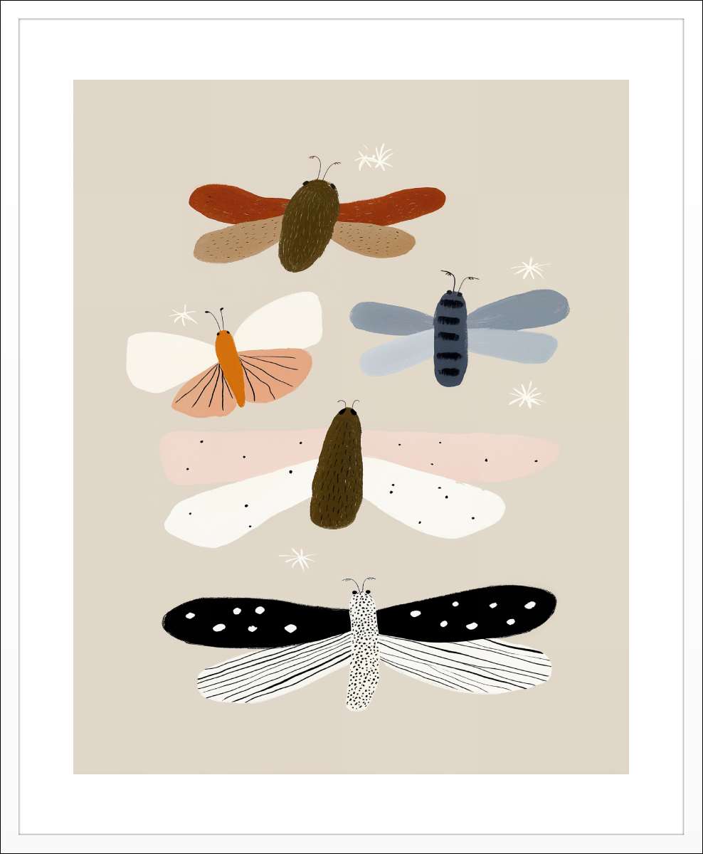 White Frame with White Border