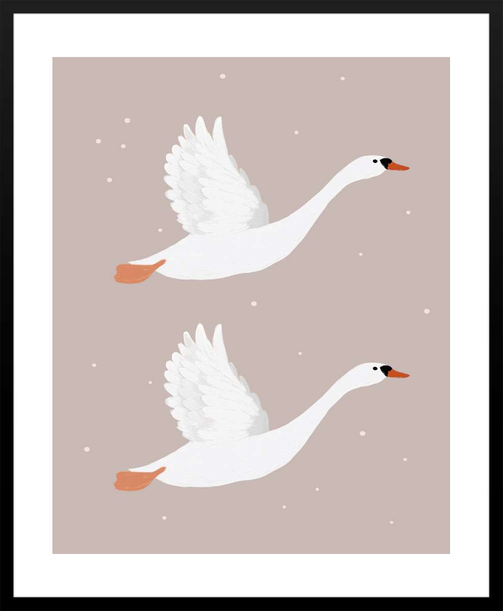 Black Frame with White Border