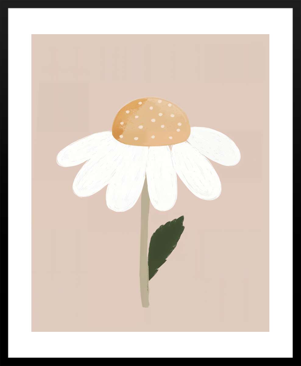 Black Frame with White Border