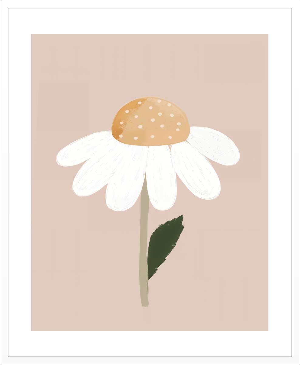 White Frame with White Border