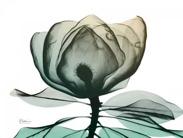 (HIRED) Framed Emerald Magnolia - Print A