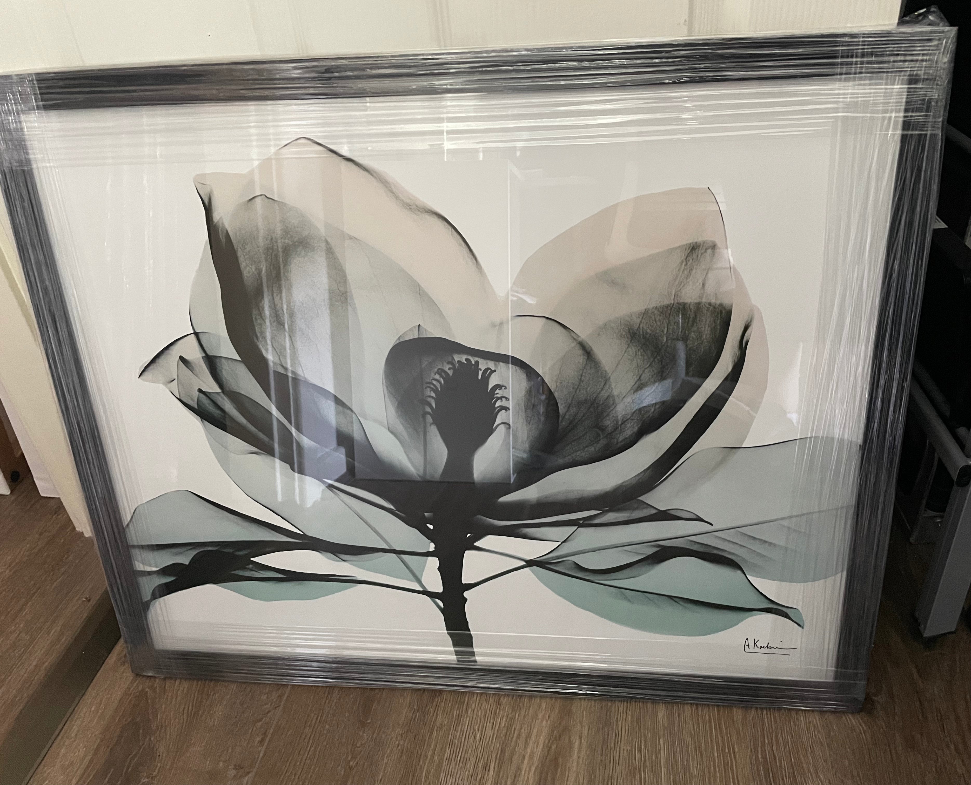 (HIRED) Framed Emerald Magnolia - Print B