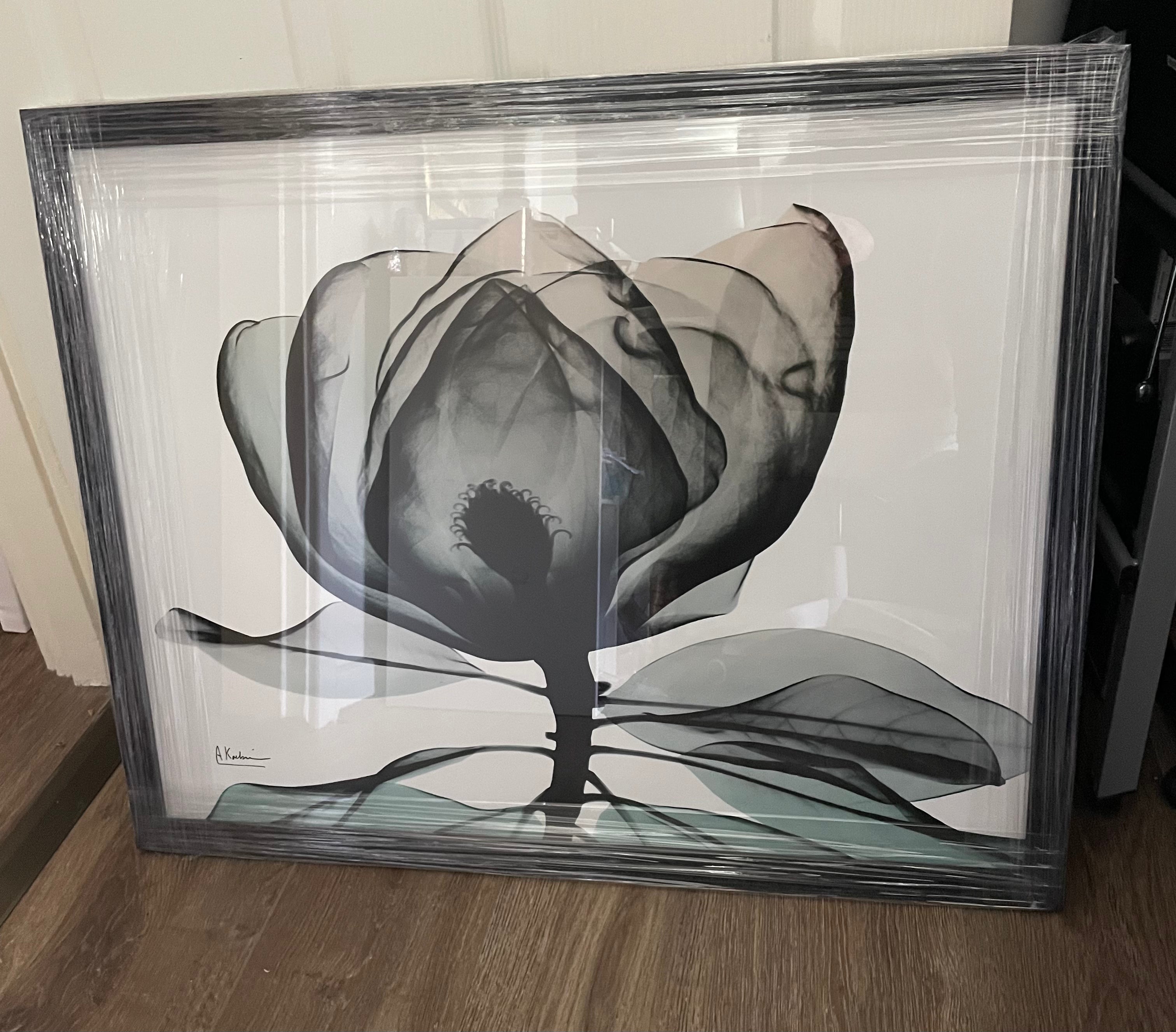 (HIRED) Framed Emerald Magnolia - Print A
