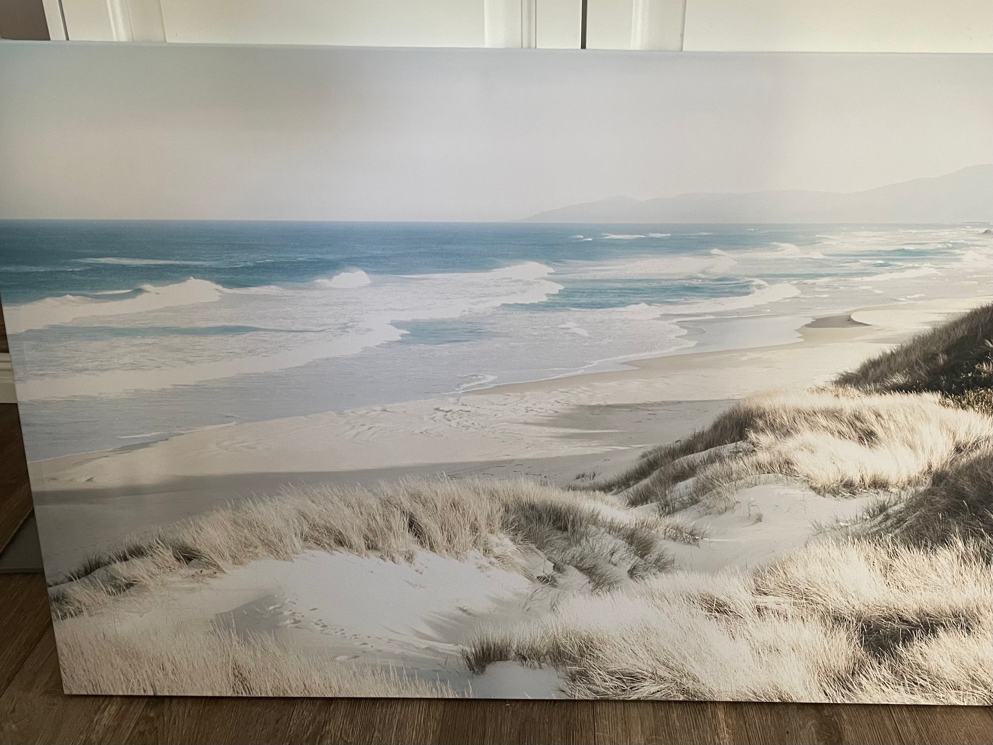 Beach Dunes