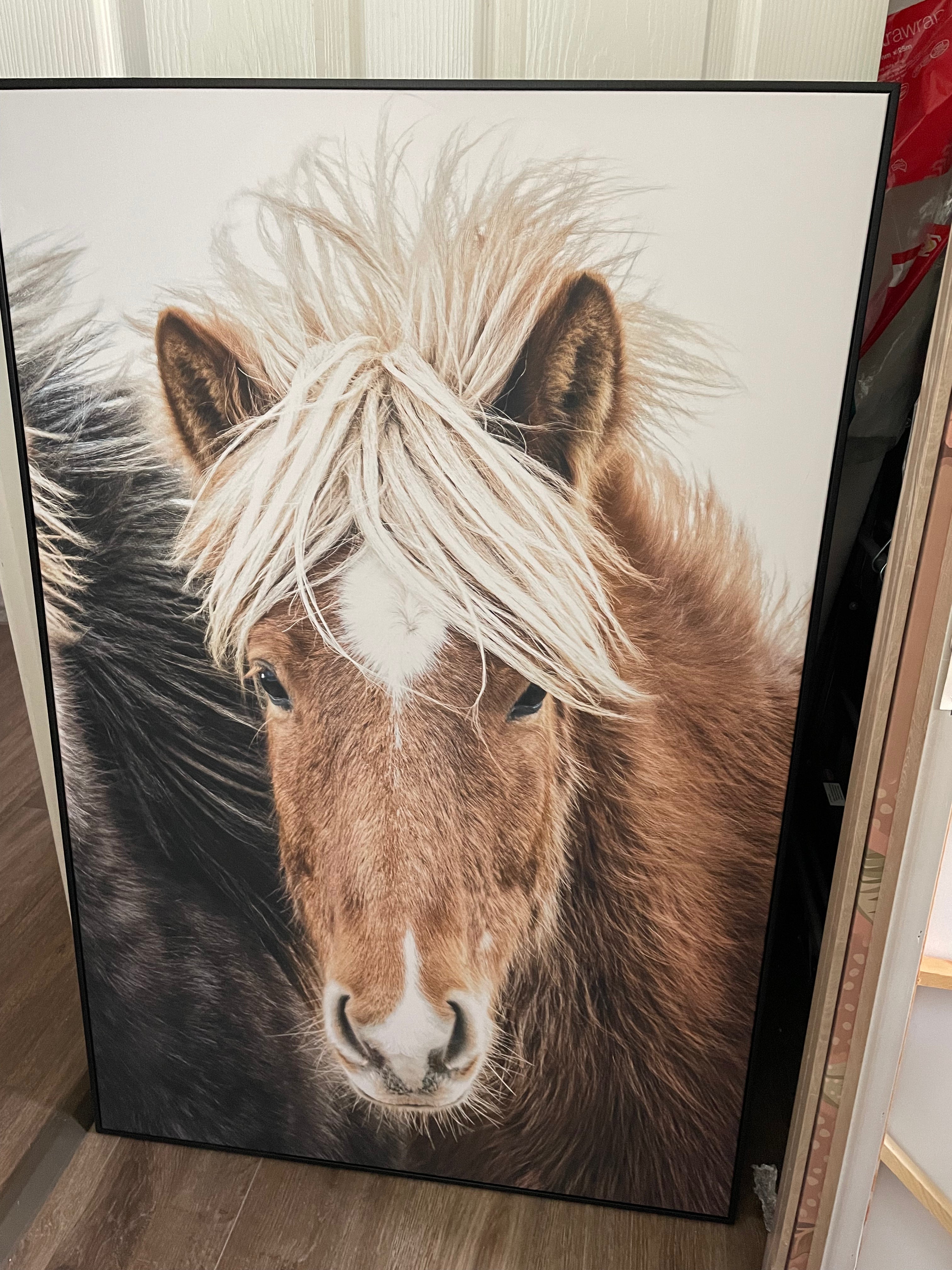 Wild Horses