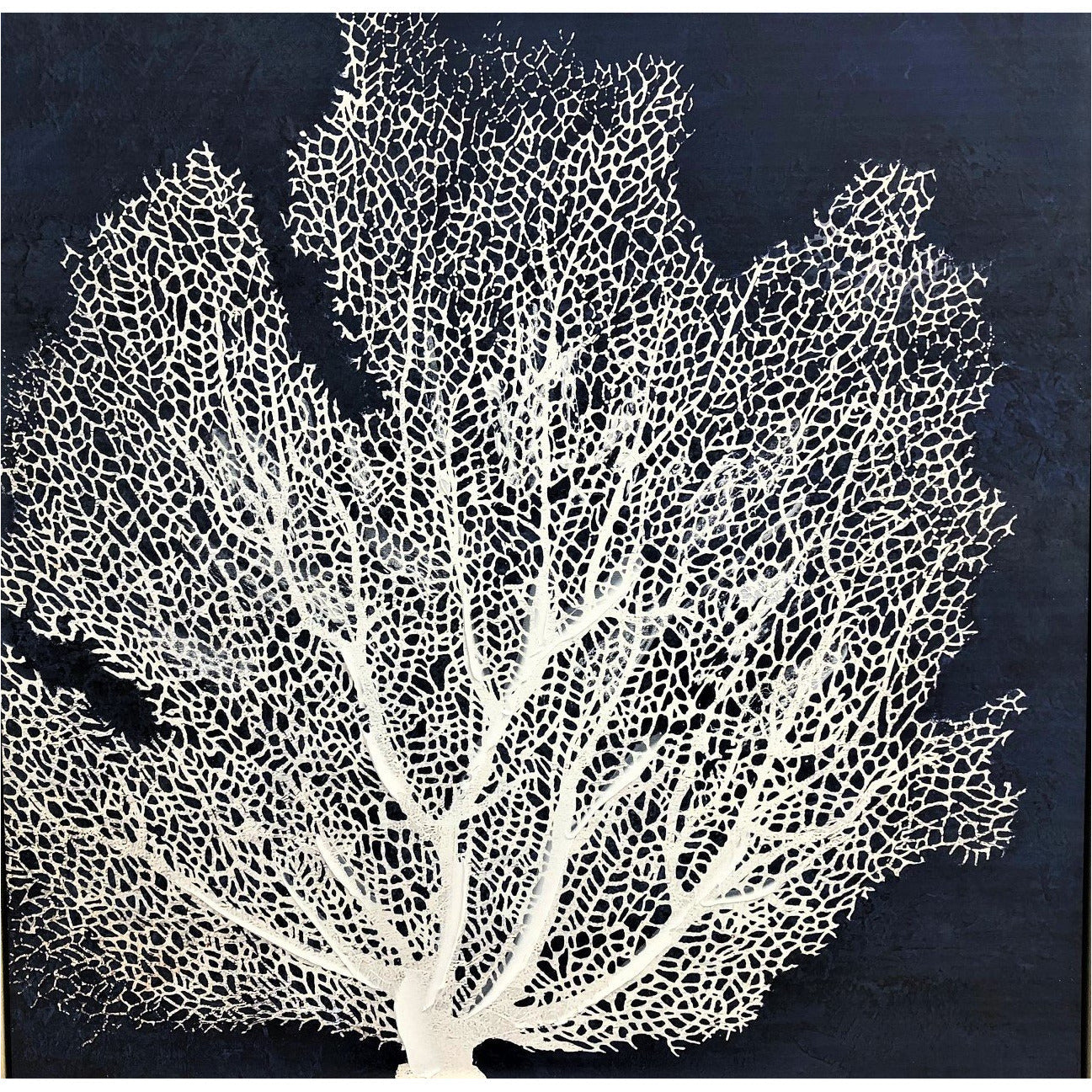 (HIRED) Framed Navy Coral - Print A