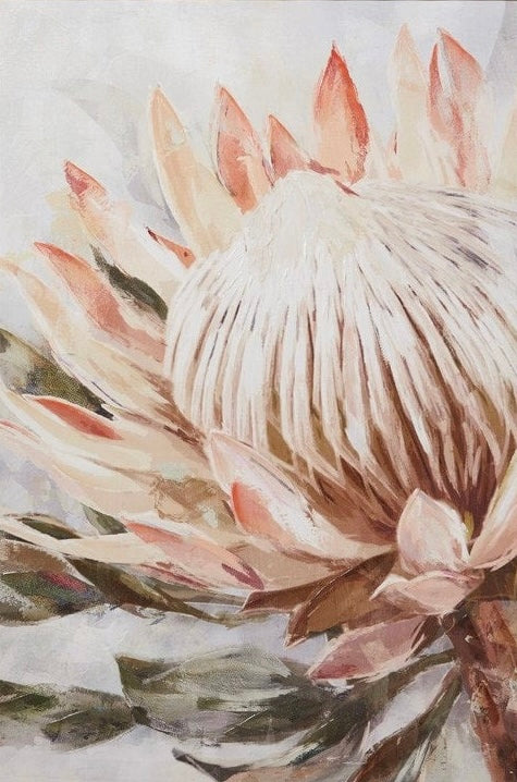 (HIRED) Framed Protea in Blush