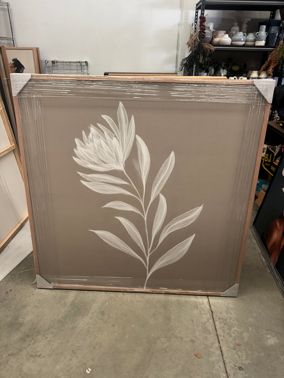(HIRED) Protea Magic