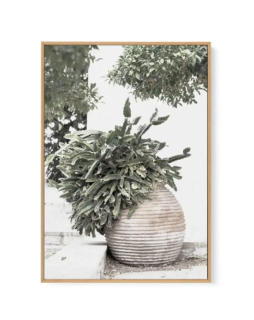 (HIRED) Villa Cactus