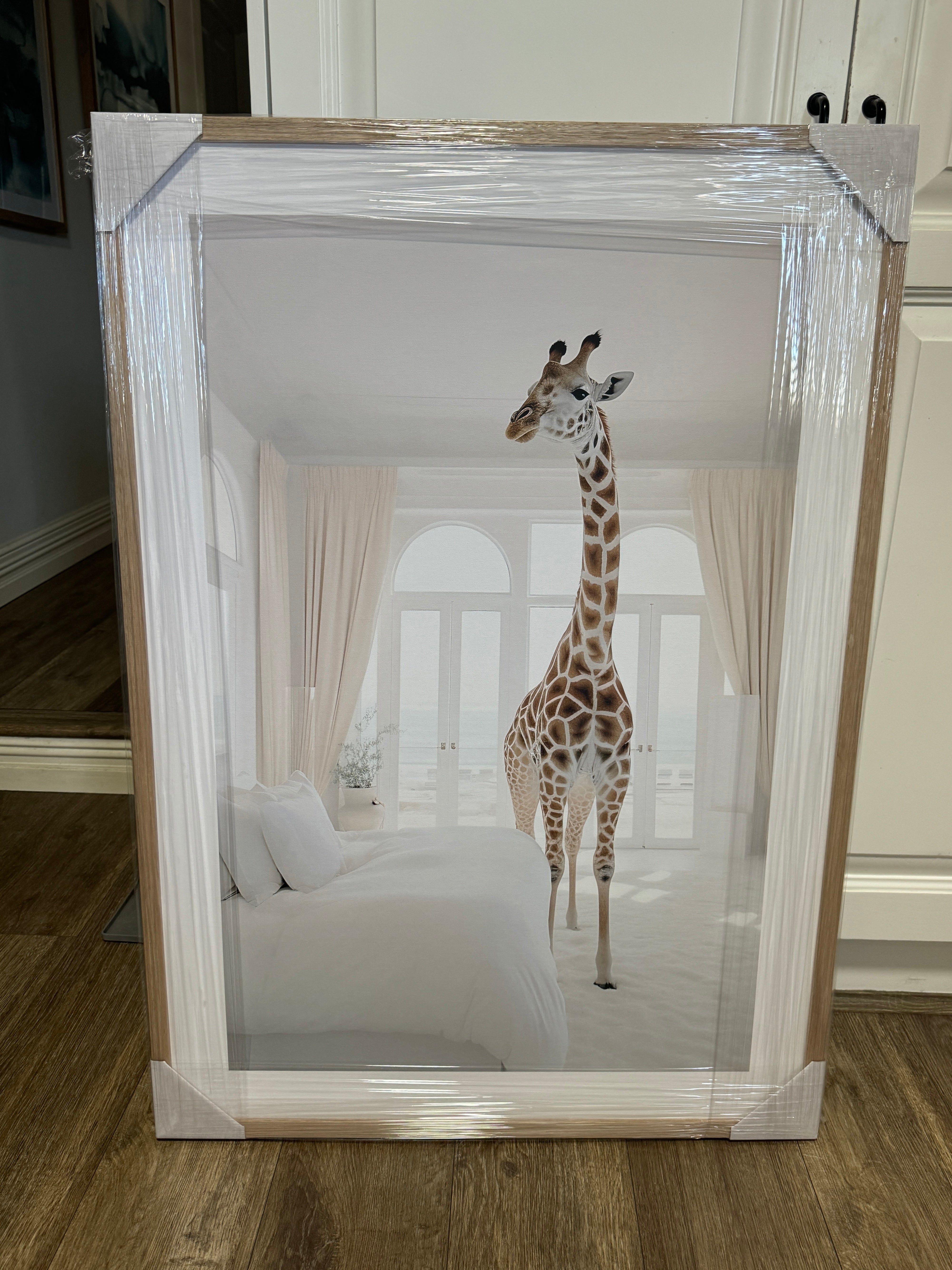 (HIRED) Framed - Giraffe