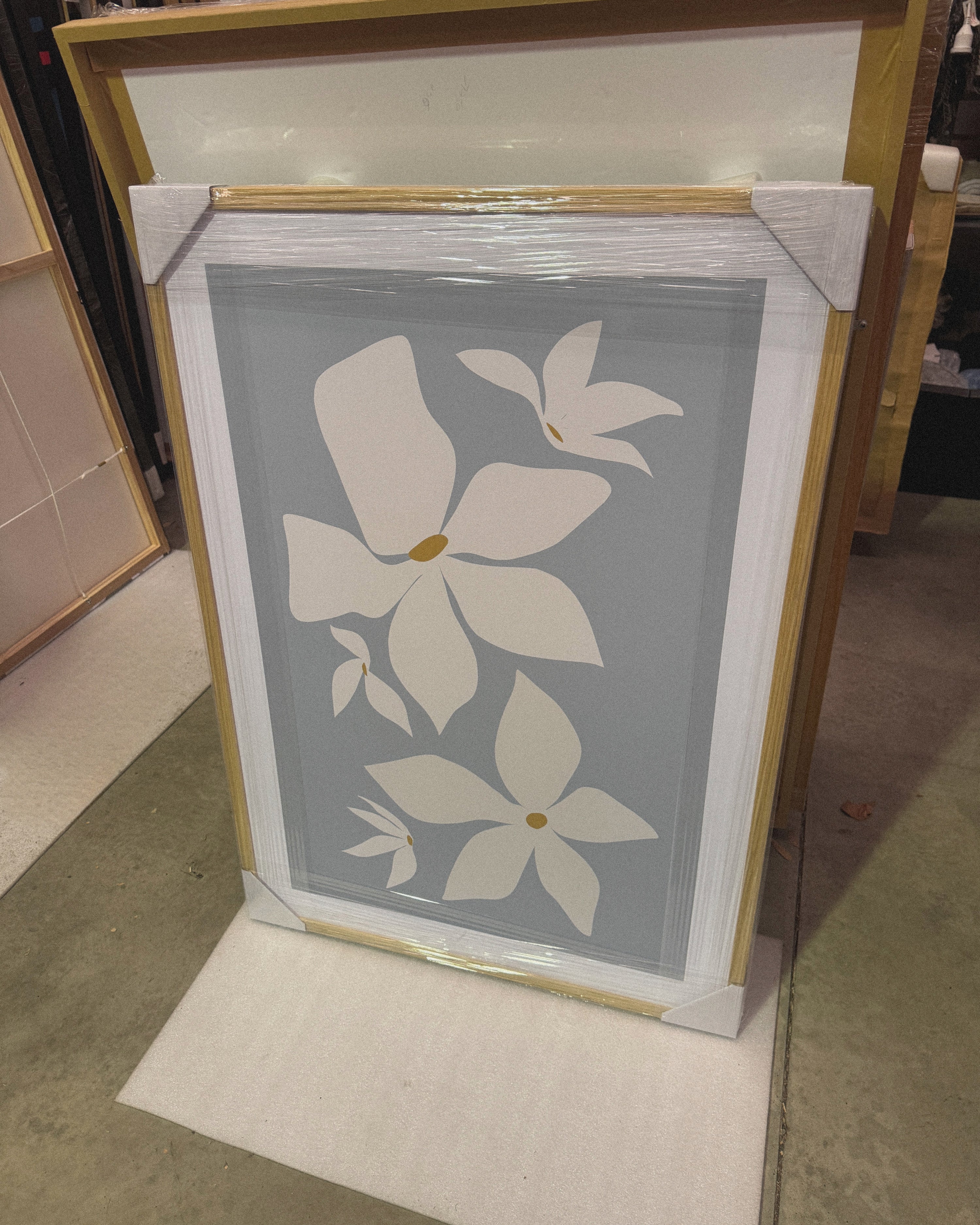 Framed - Petal Drift - Print B