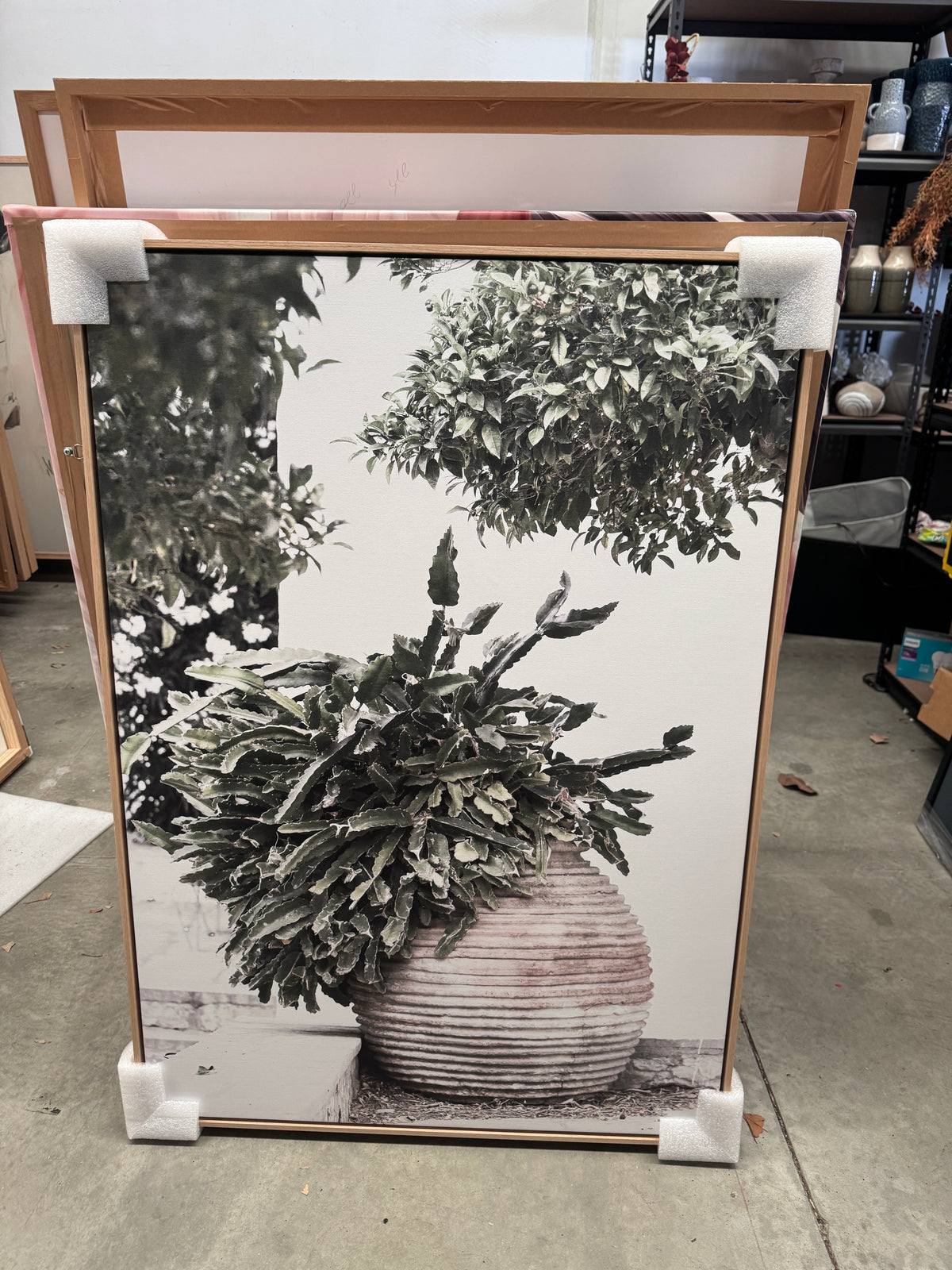 (HIRED) Villa Cactus