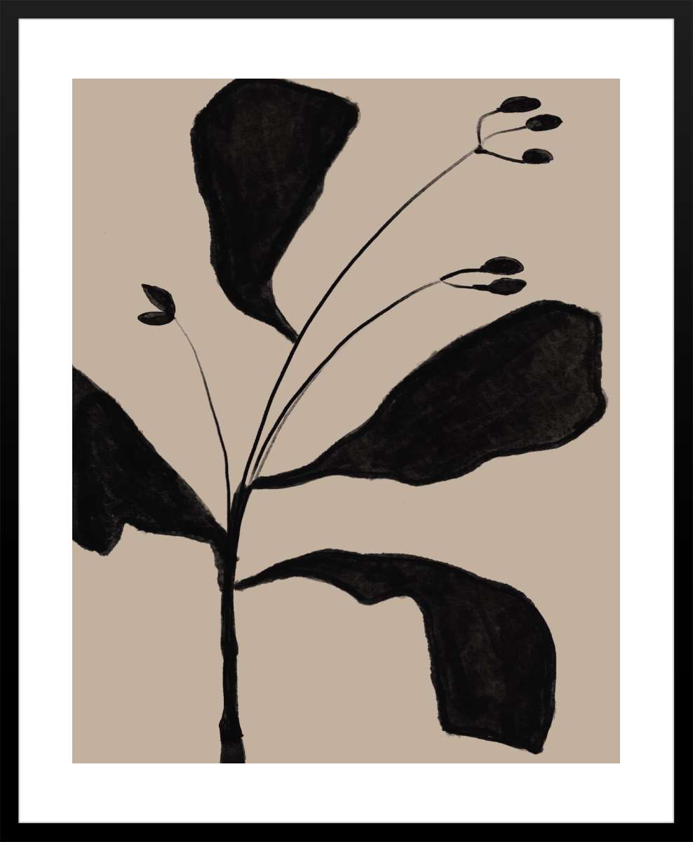 Black Frame with White Border