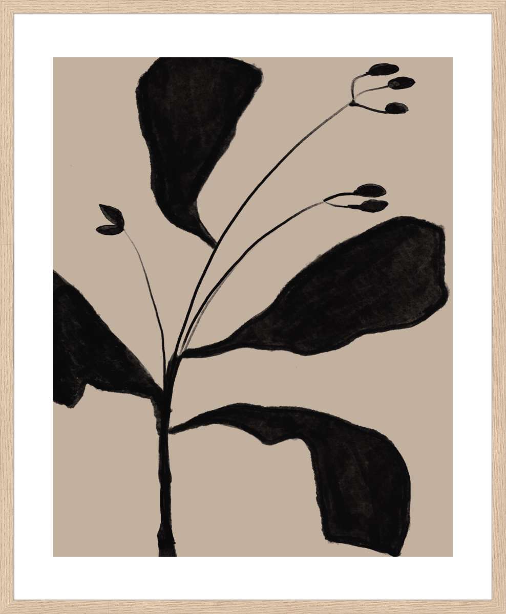 Oak Frame with White Border