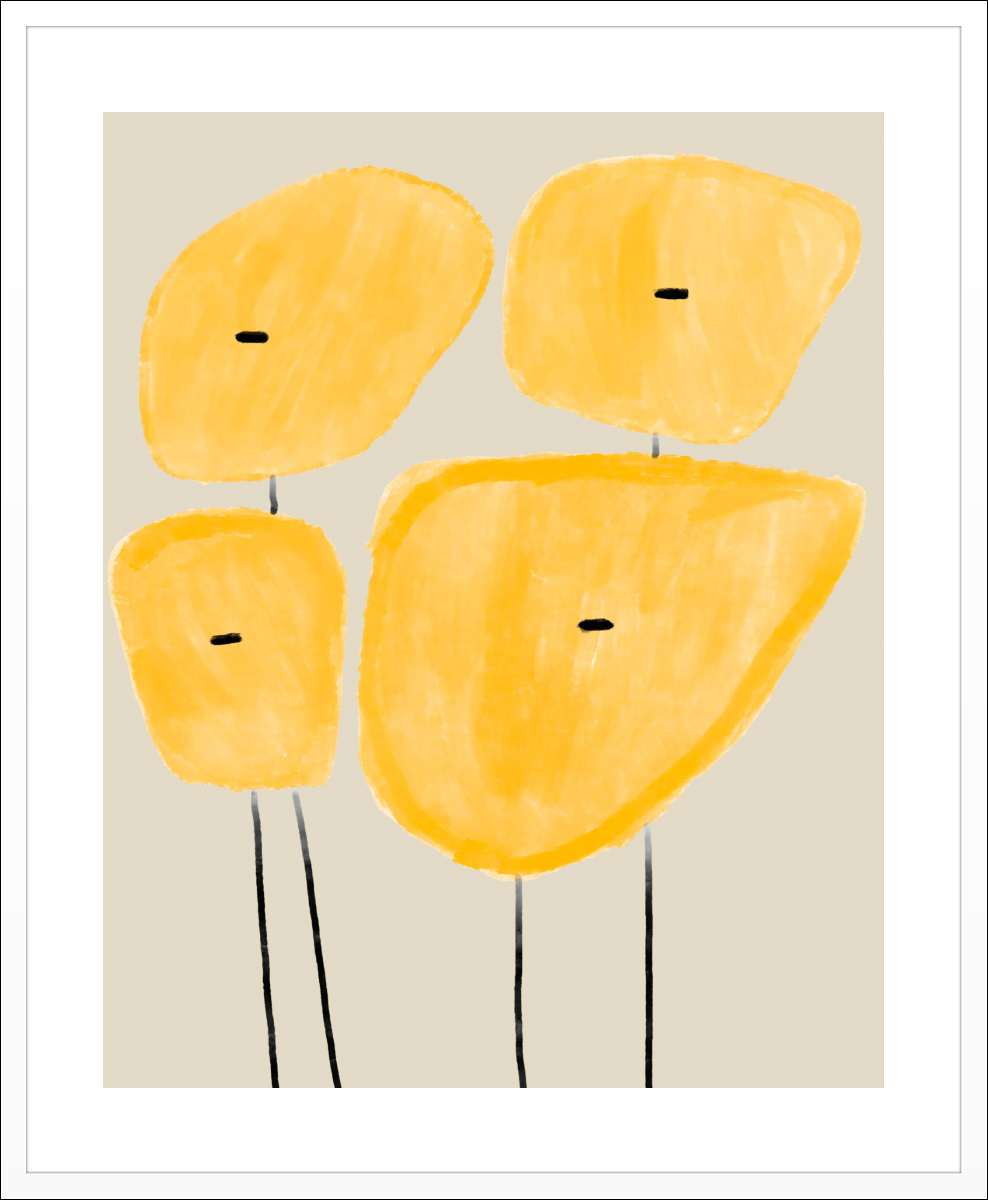 White Frame with White Border