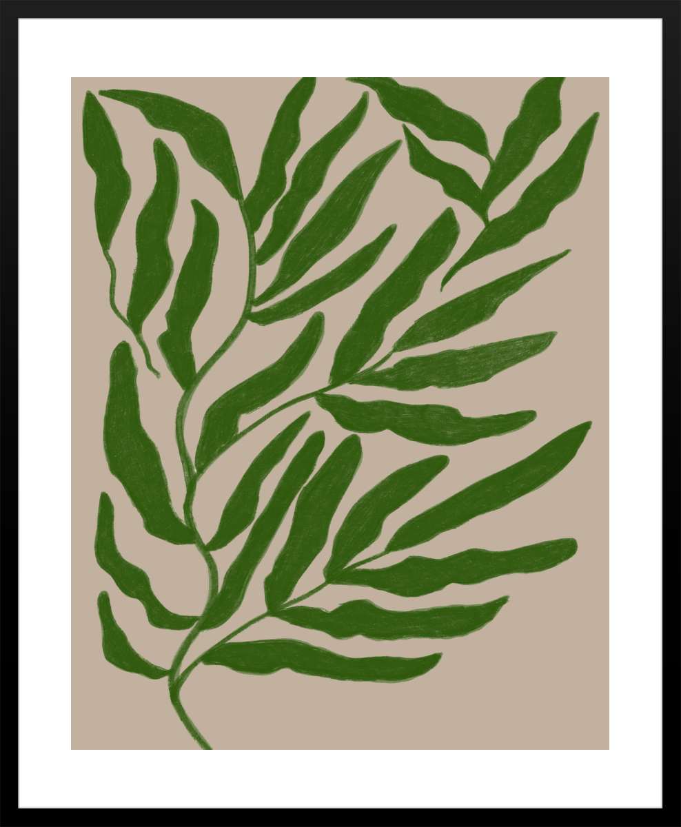 Black Frame with White Border