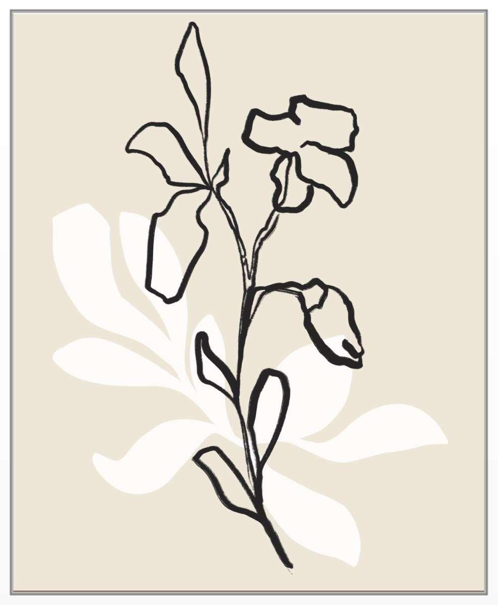 White Box Frame