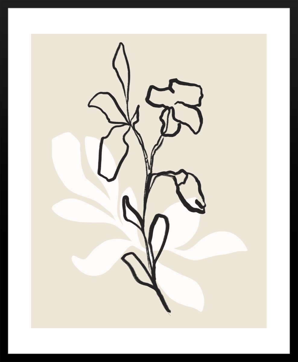 Black Frame with White Border