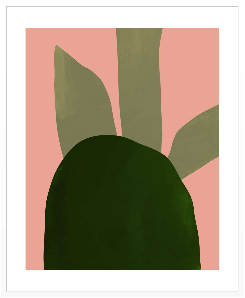 White Frame with White Border