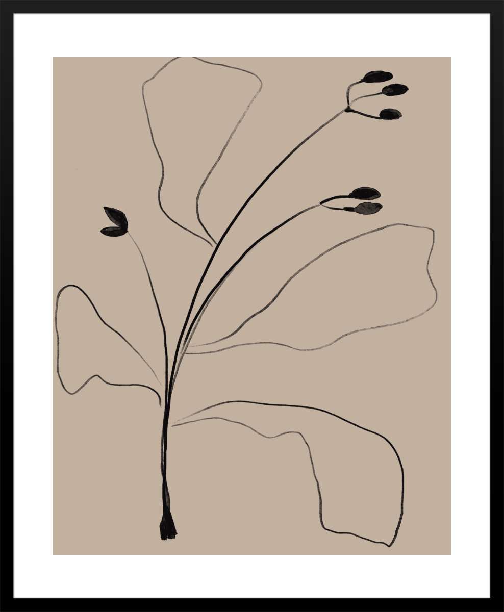 Black Frame with White Border