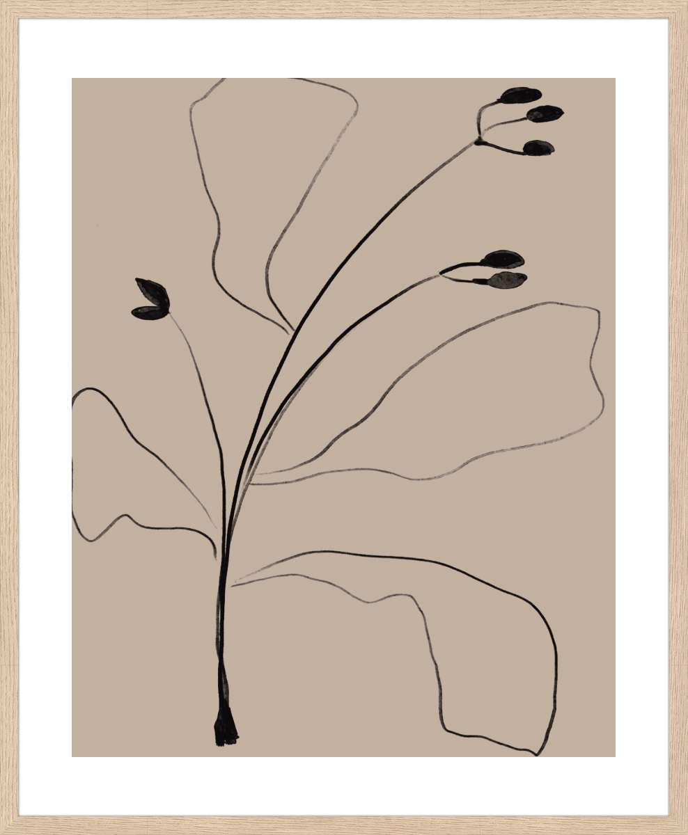 Oak Frame with White Border