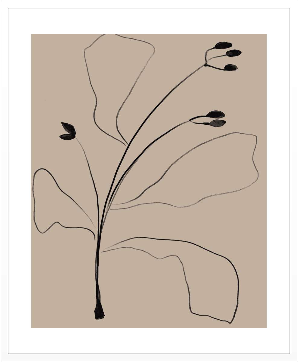 White Frame with White Border