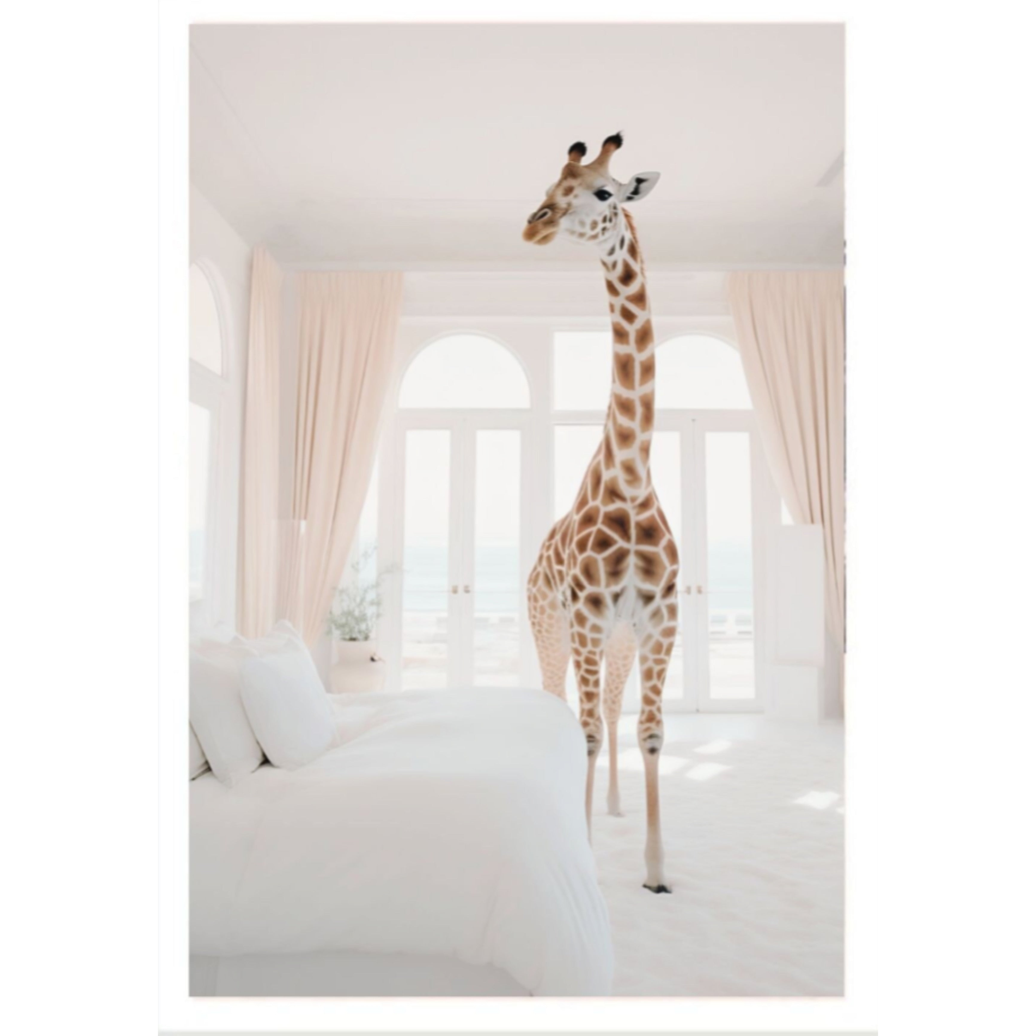 (HIRED) Framed - Giraffe