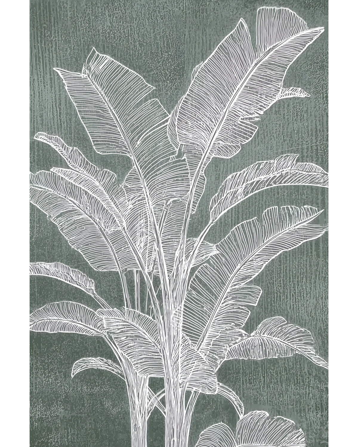 Palm Silhouette