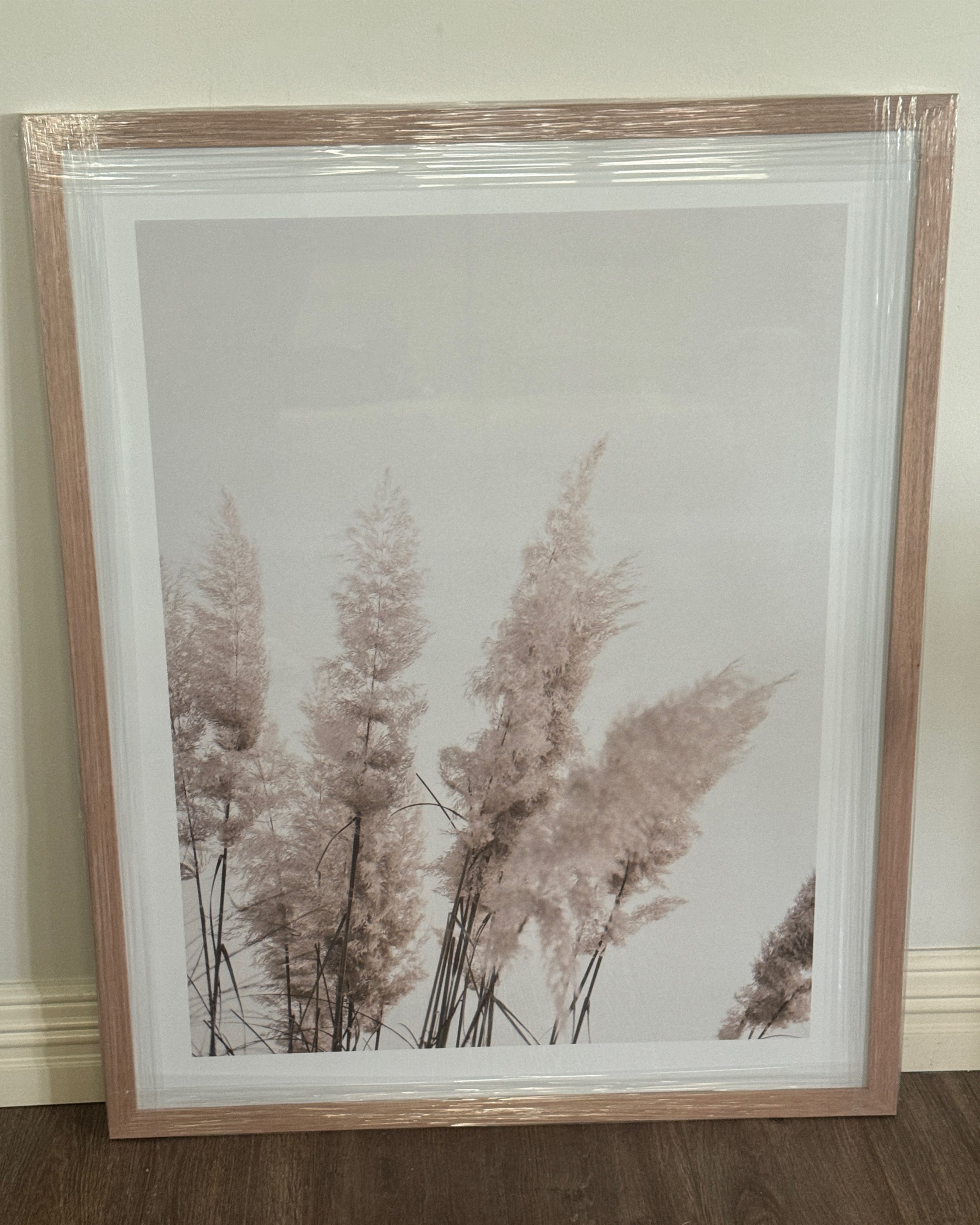 (HIRED) Framed - Pampas Grass