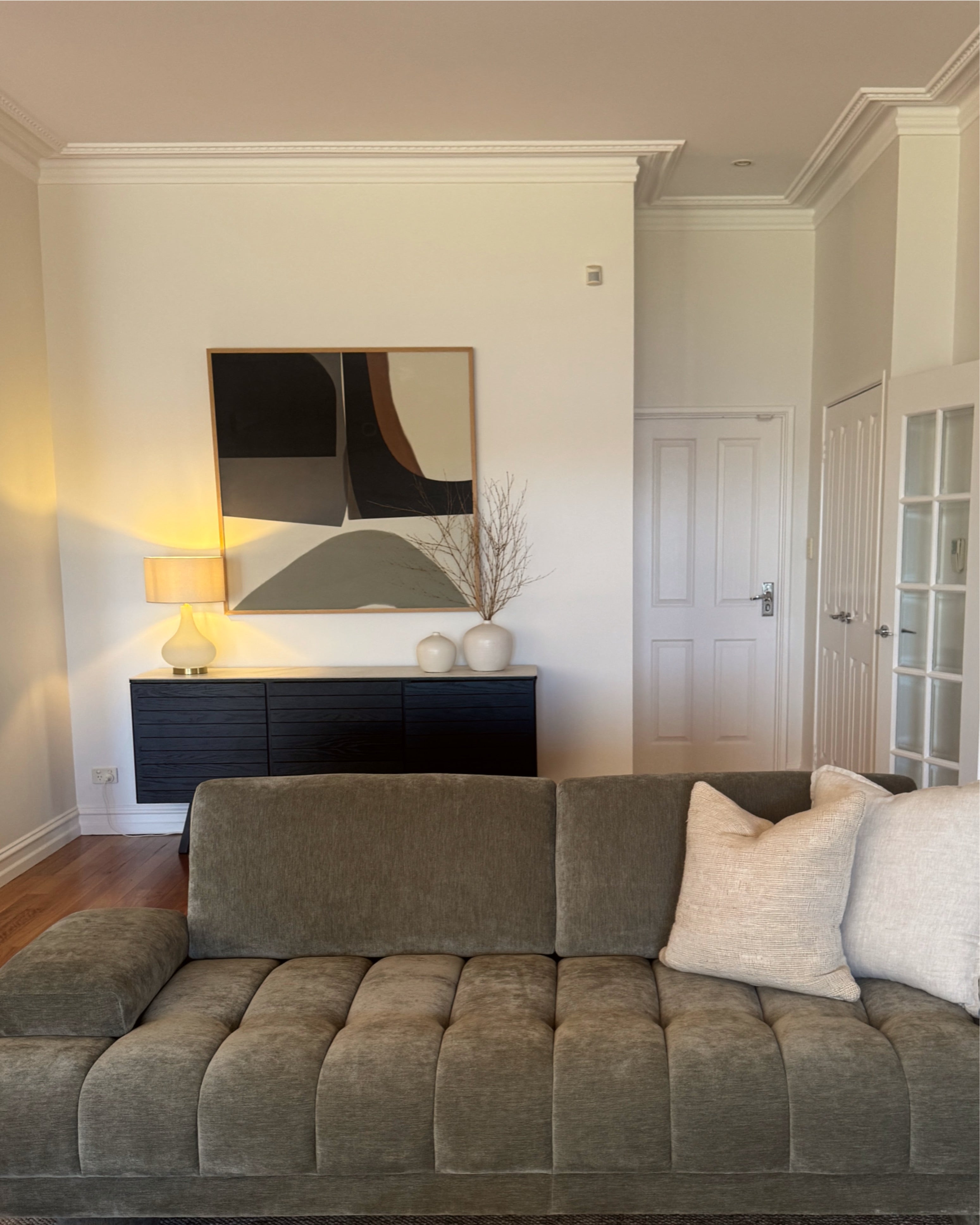 (HIRED) Framed - Curious (X-LARGE)